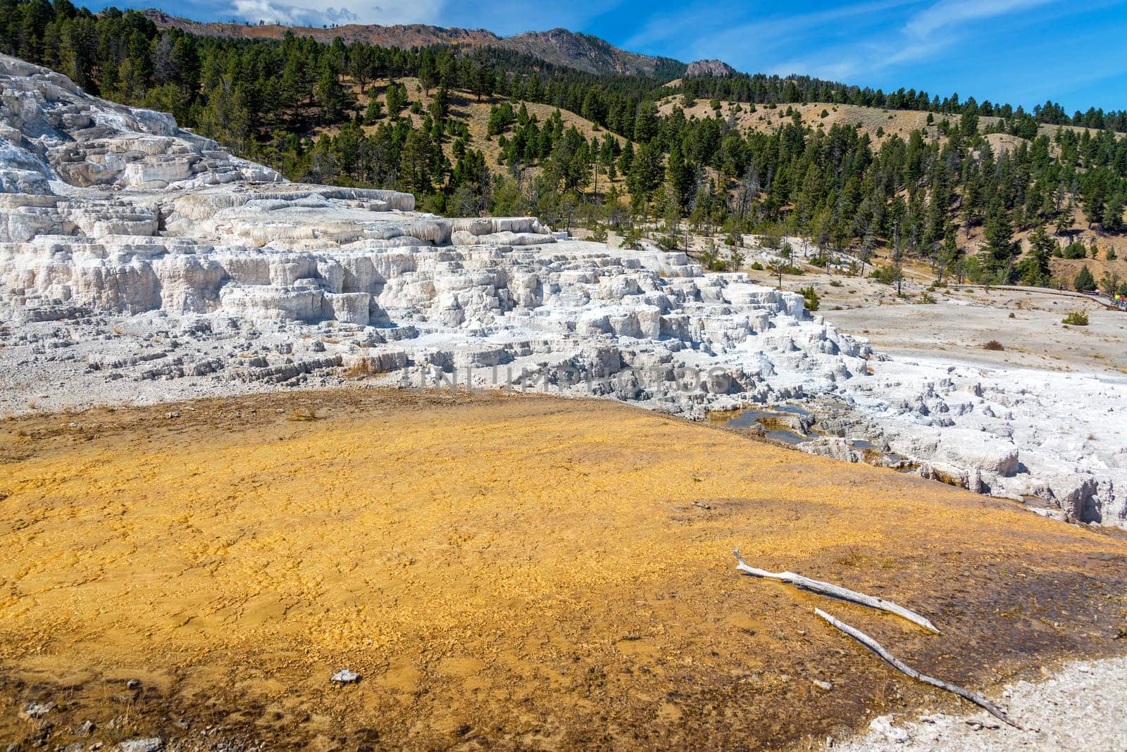 Terraces at Mammoth Hot Springs in Yellowstone National Park