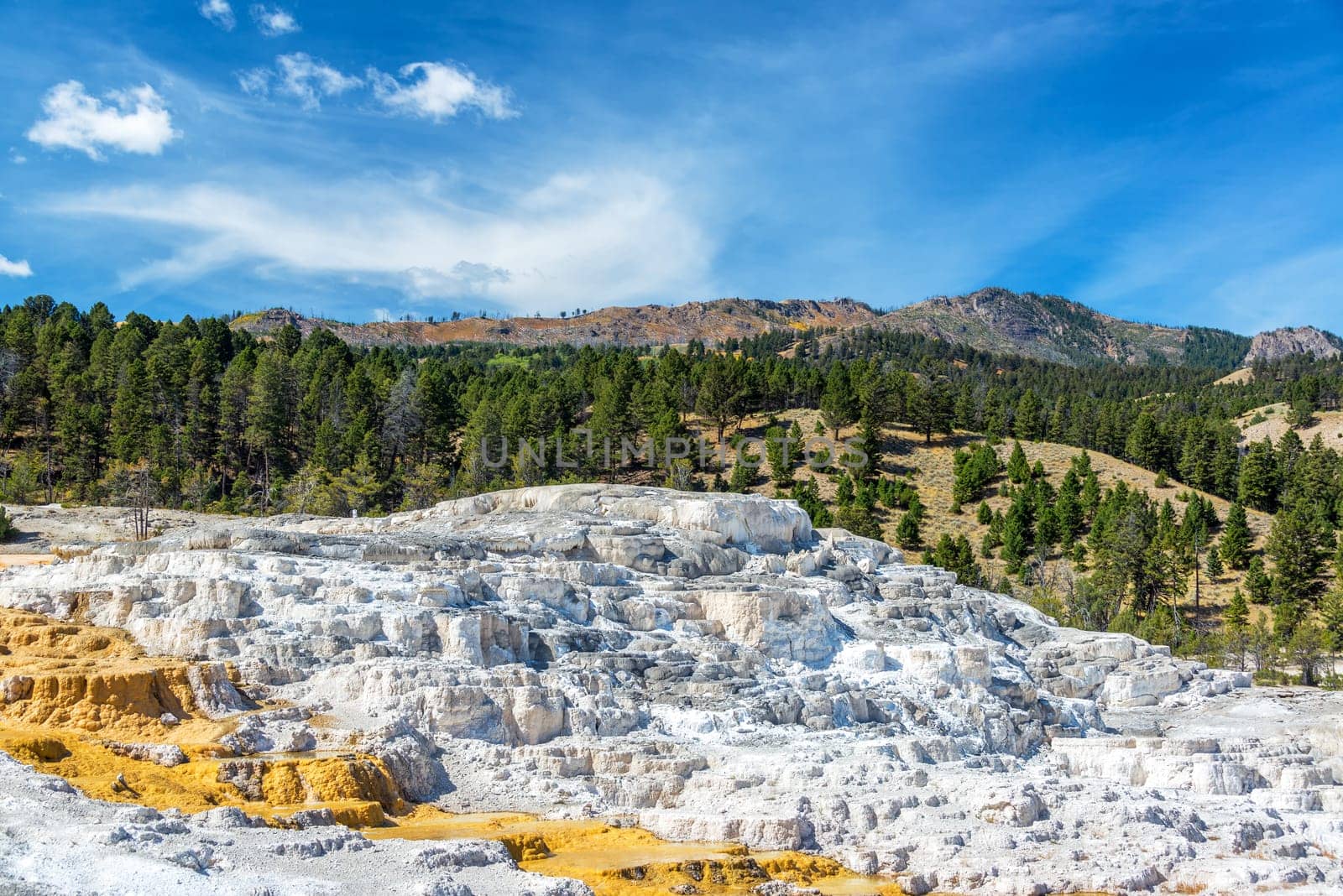 White travertine terraces and beautiful landscape at Mammoth Hot Springs in Yellowstone National Park