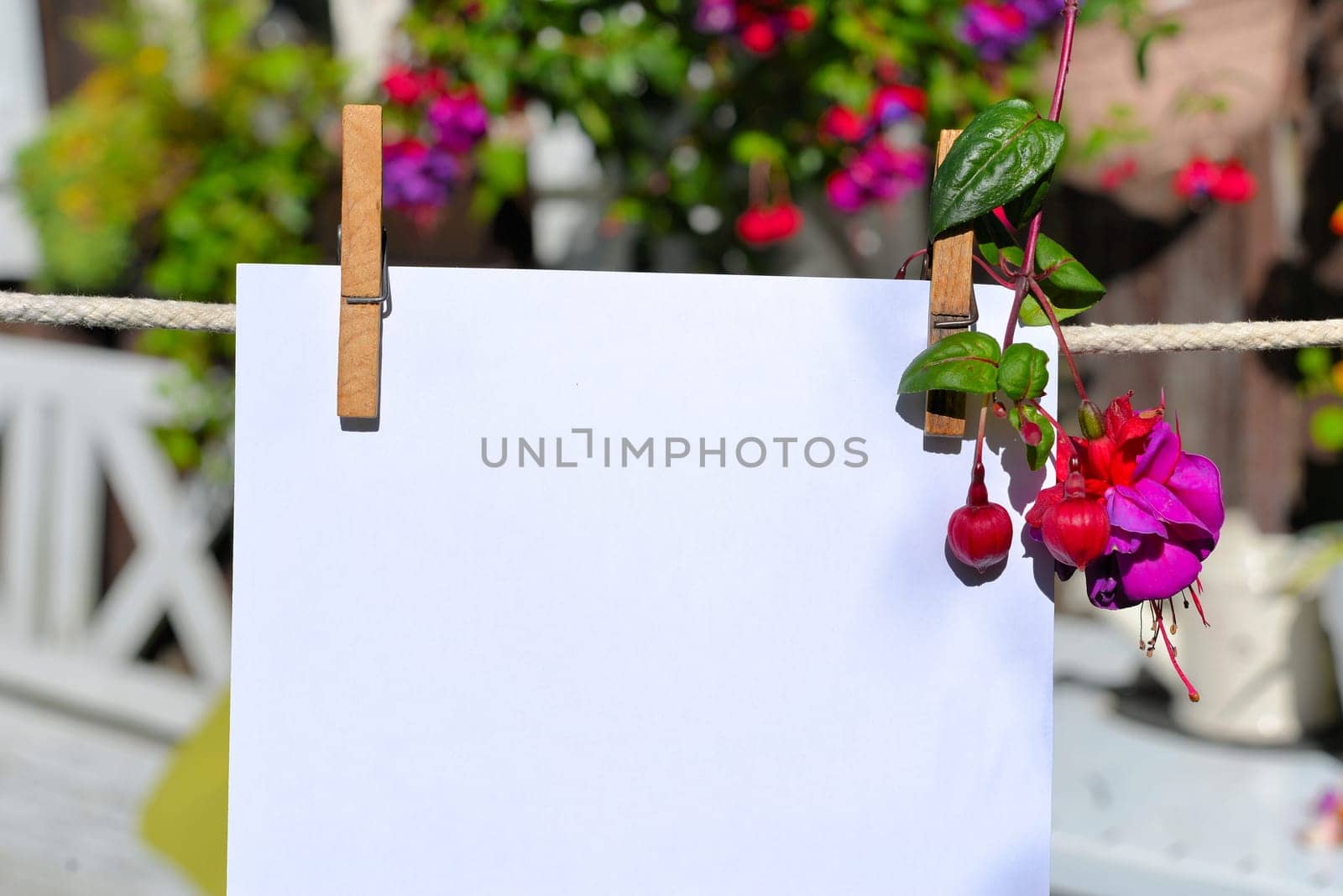 Sheet of paper on clothesline in front of colorful flowers