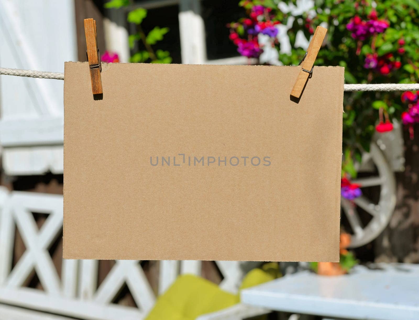 Sheet of paper on clothesline in front of colorful flowers