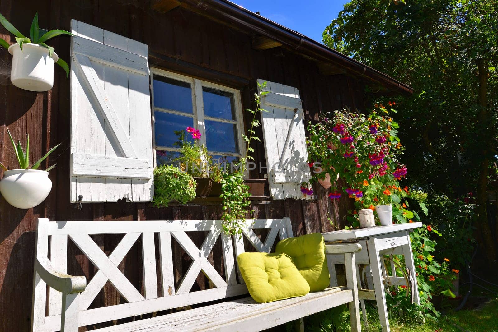 Garden hut in summer with lots of flowers