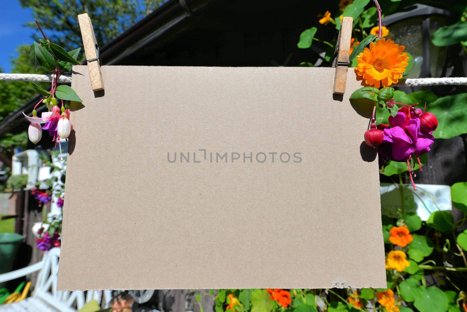 Sheet of paper on clothesline in front of colorful flowers