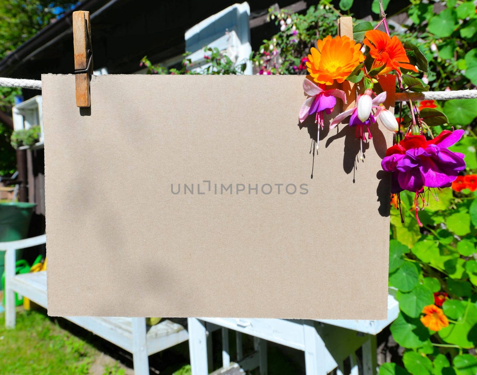 Sheet of paper on clothesline in front of colorful flowers