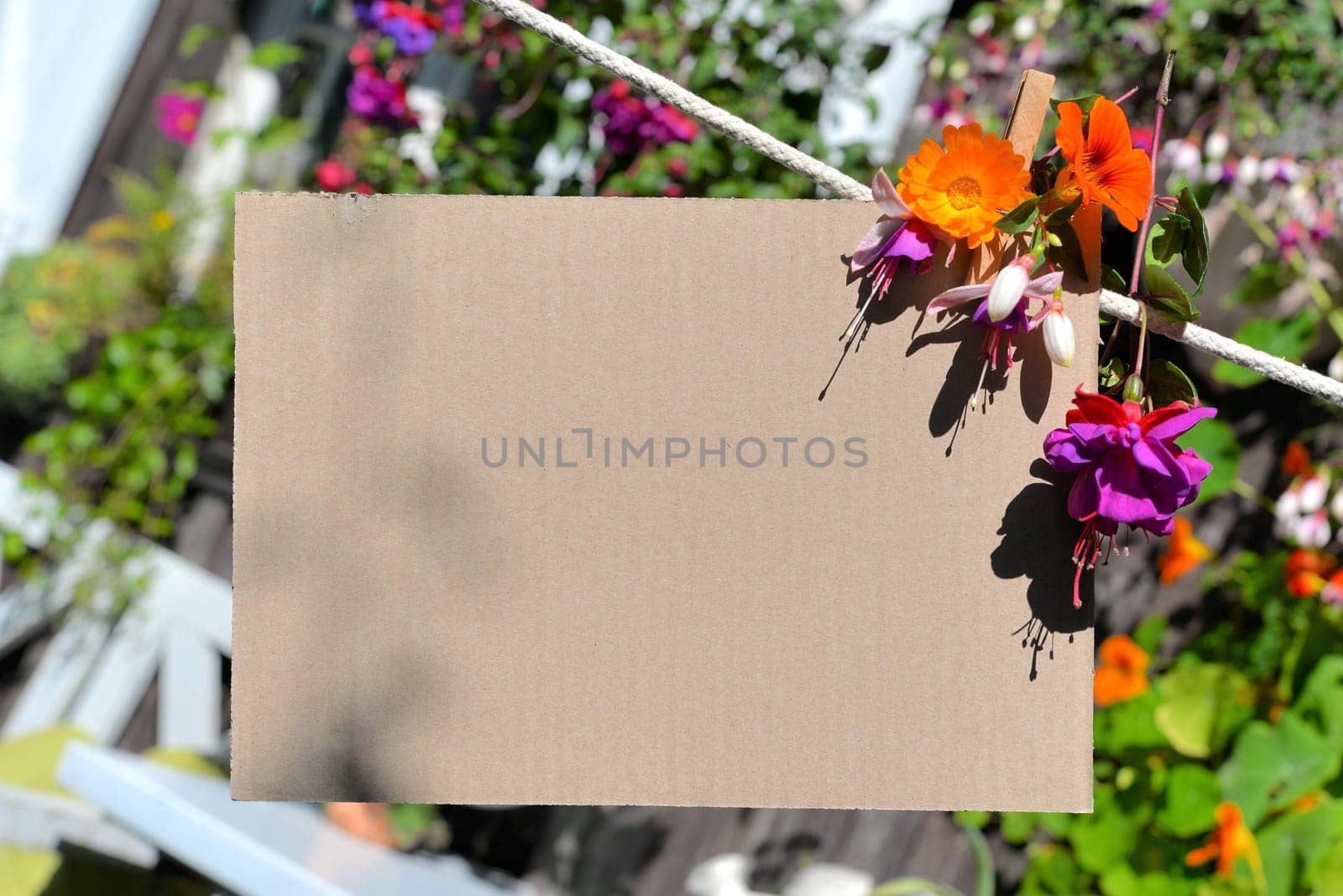 Sheet of paper on clothesline in front of colorful flowers