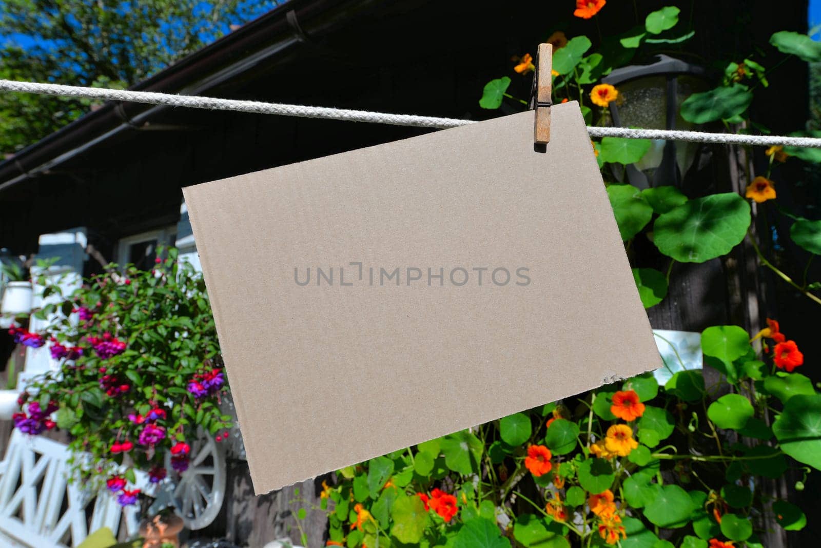 Sheet of paper on clothesline in front of colorful flowers