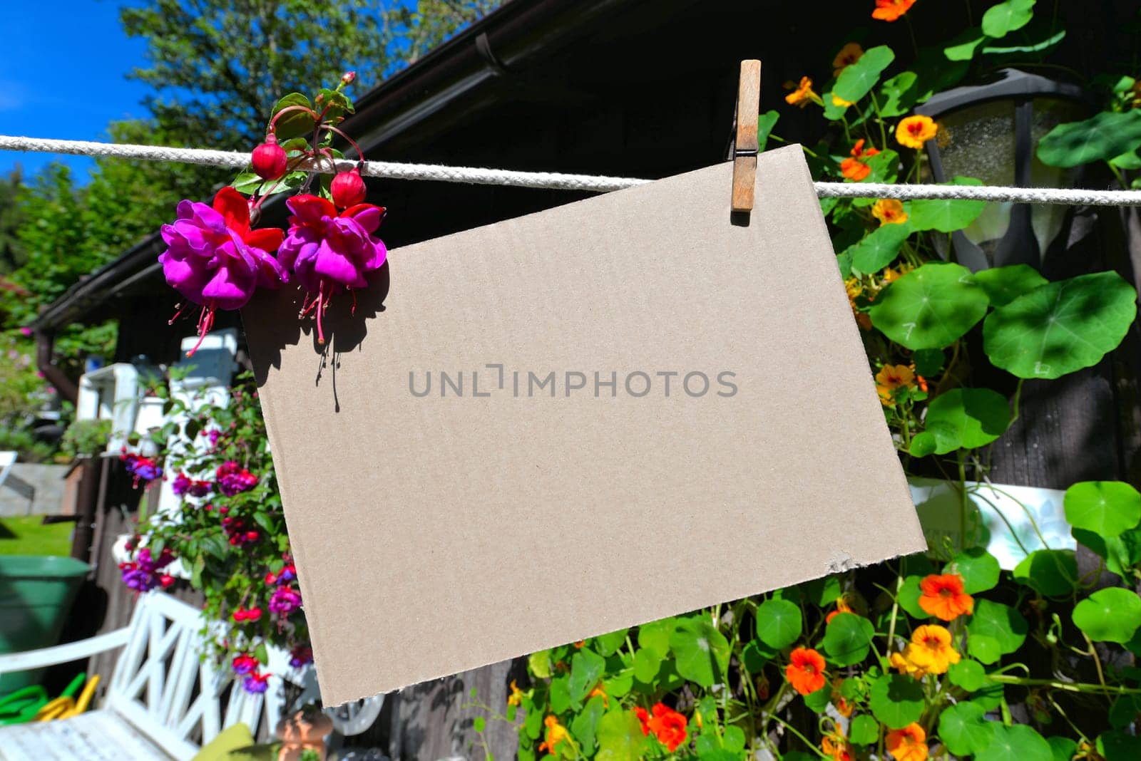 Sheet of paper on clothesline in front of colorful flowers