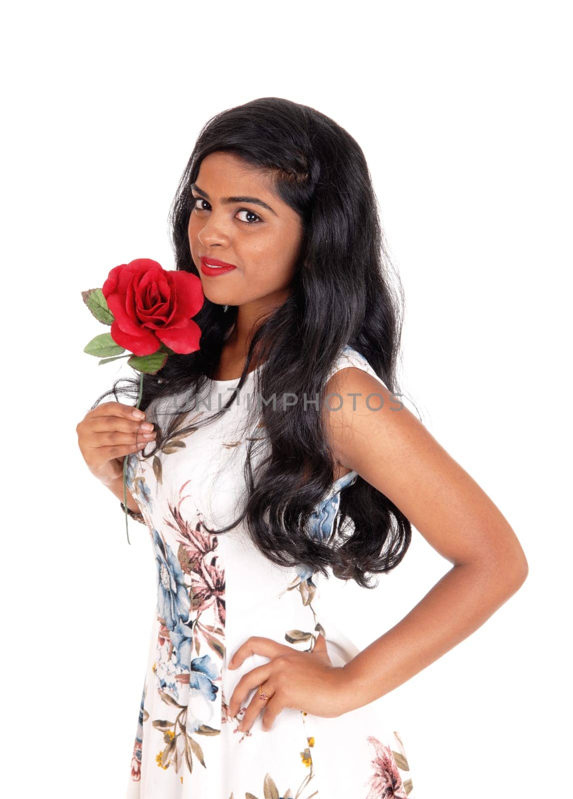 A gorgeous young Indian woman with long curly black hair standing in a.dress halve length holding a rose, isolated for white background..
