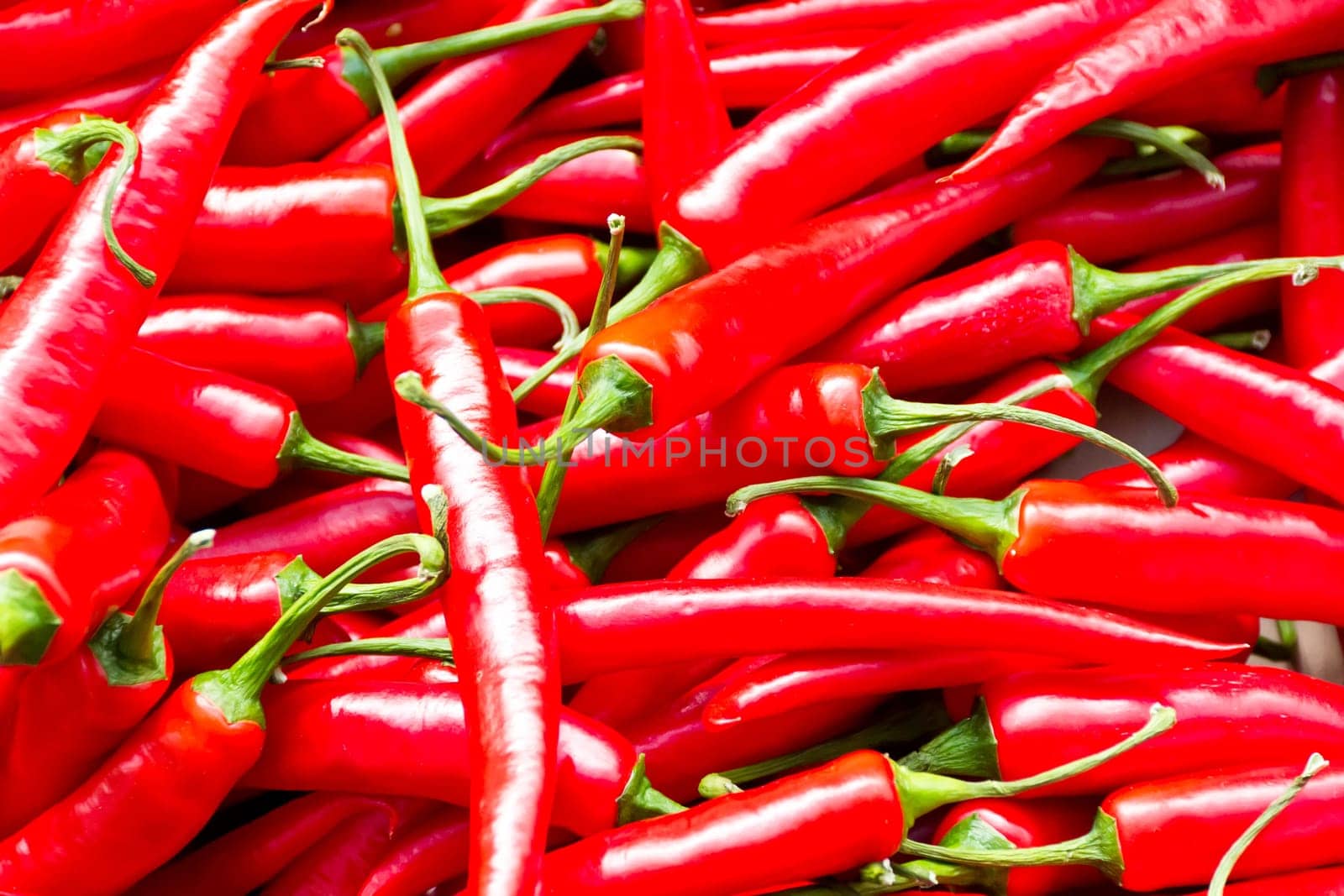 Photo of background red hot chili peppers