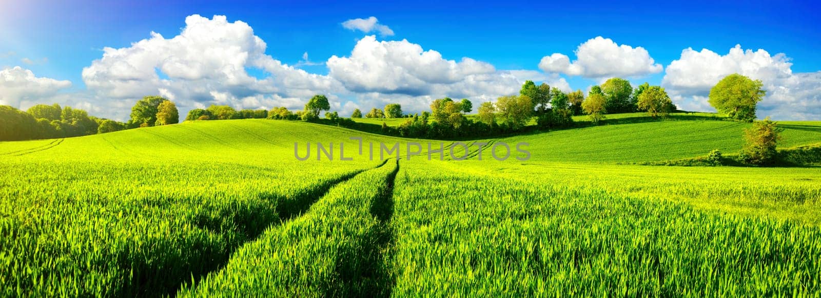 Panoramic landscape with idyllic vast green fields on hills,vibrant blue sky and fluffy white clouds