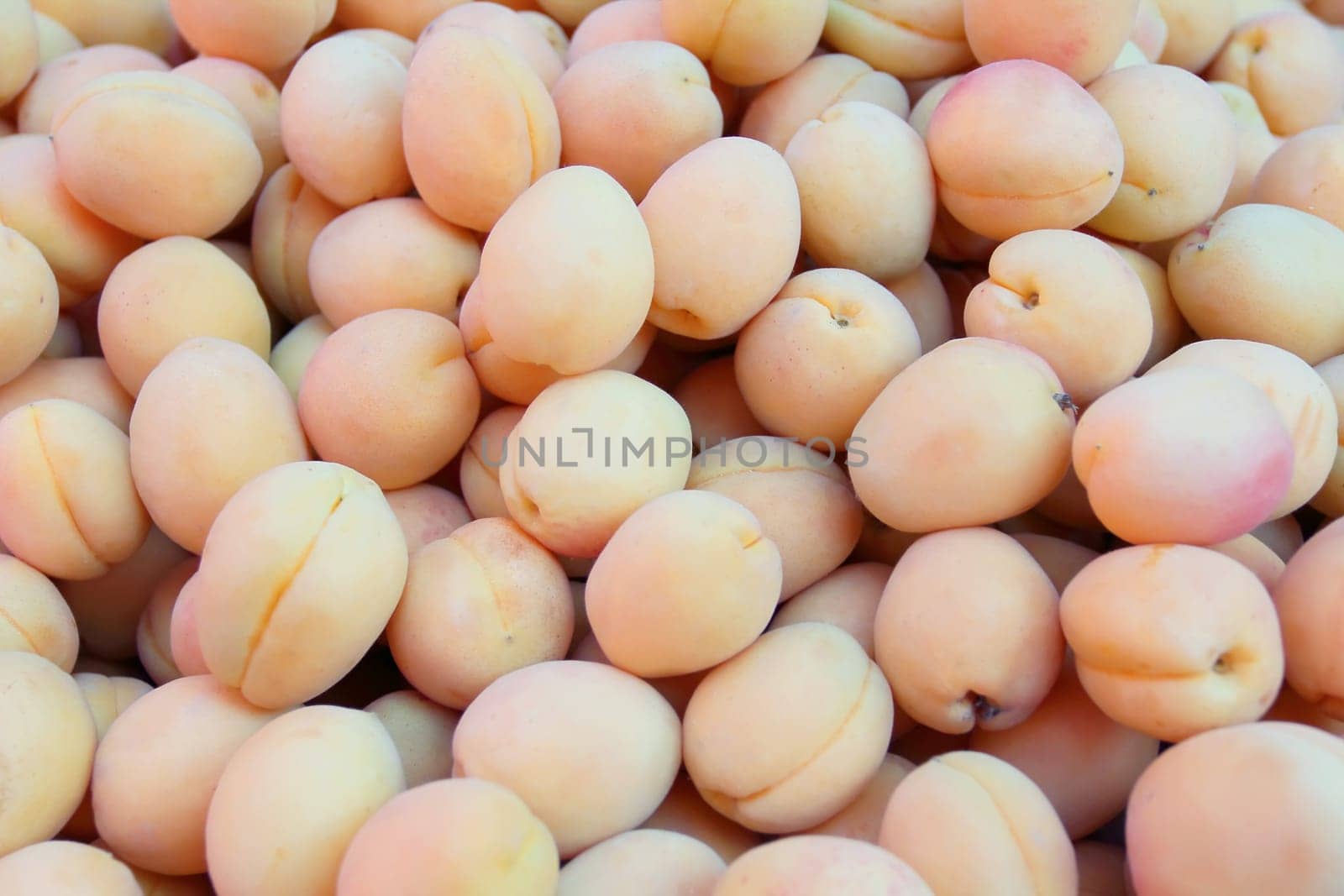 Image of the background yellow ripe apricots