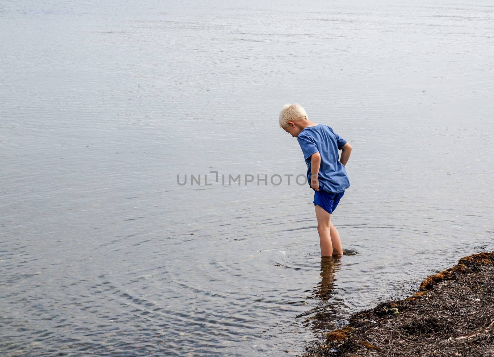 A little boy goes with his feet in the water on the beach and looking for clams and crabs