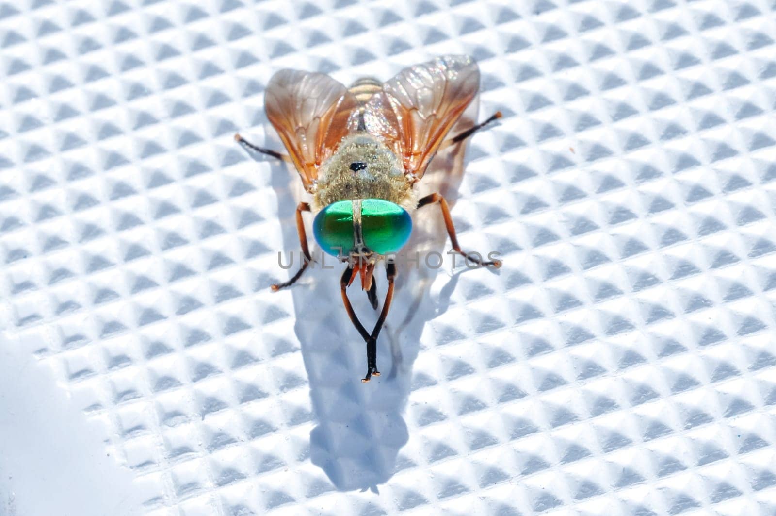 Multicolored fly washes on plastic boat surface