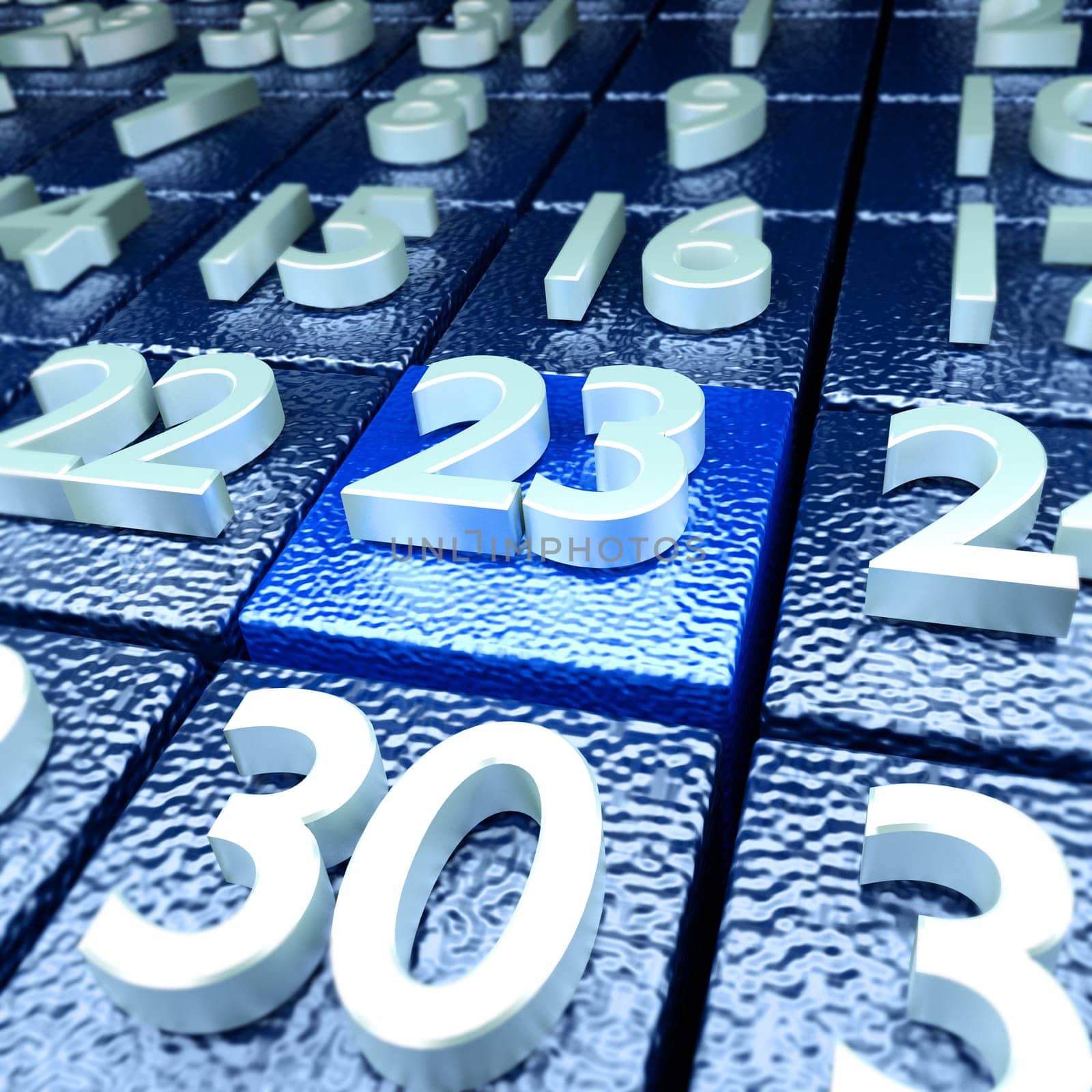 Twenty-third calendar day