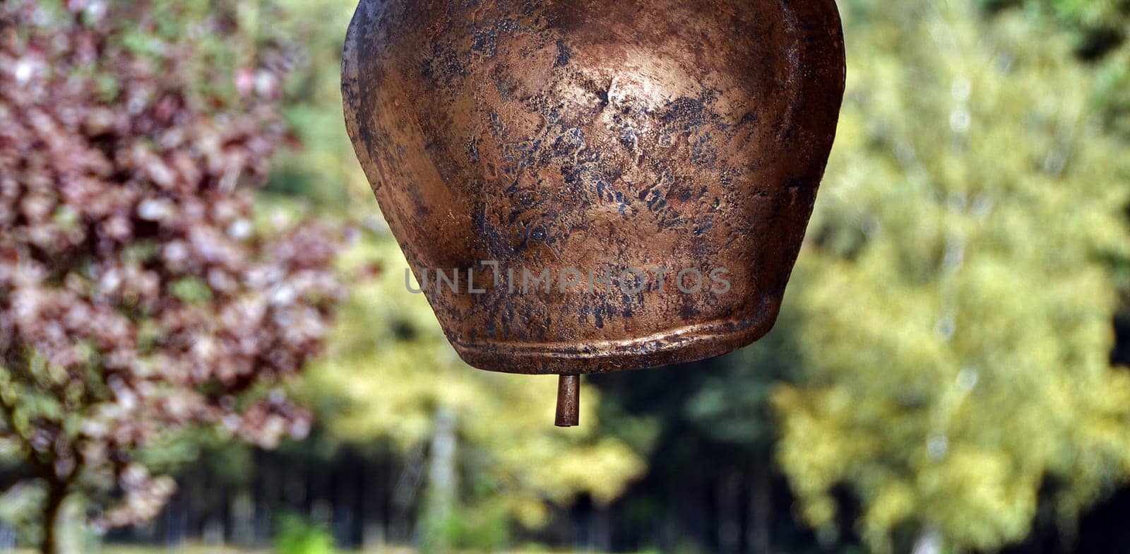 Copper bell in nature