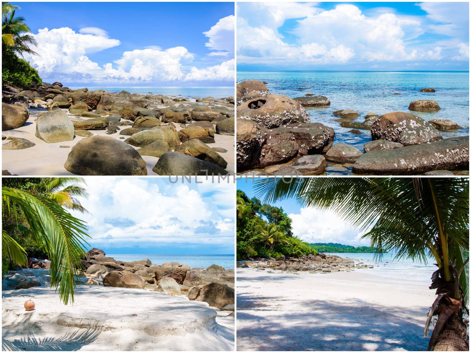 Photo collage of tropical beach with palm trees
