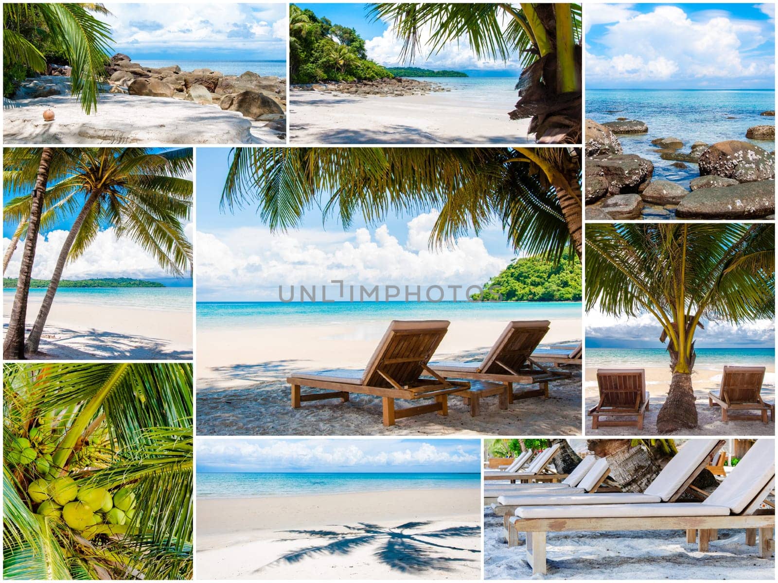 Photo collage of tropical beach with palm trees