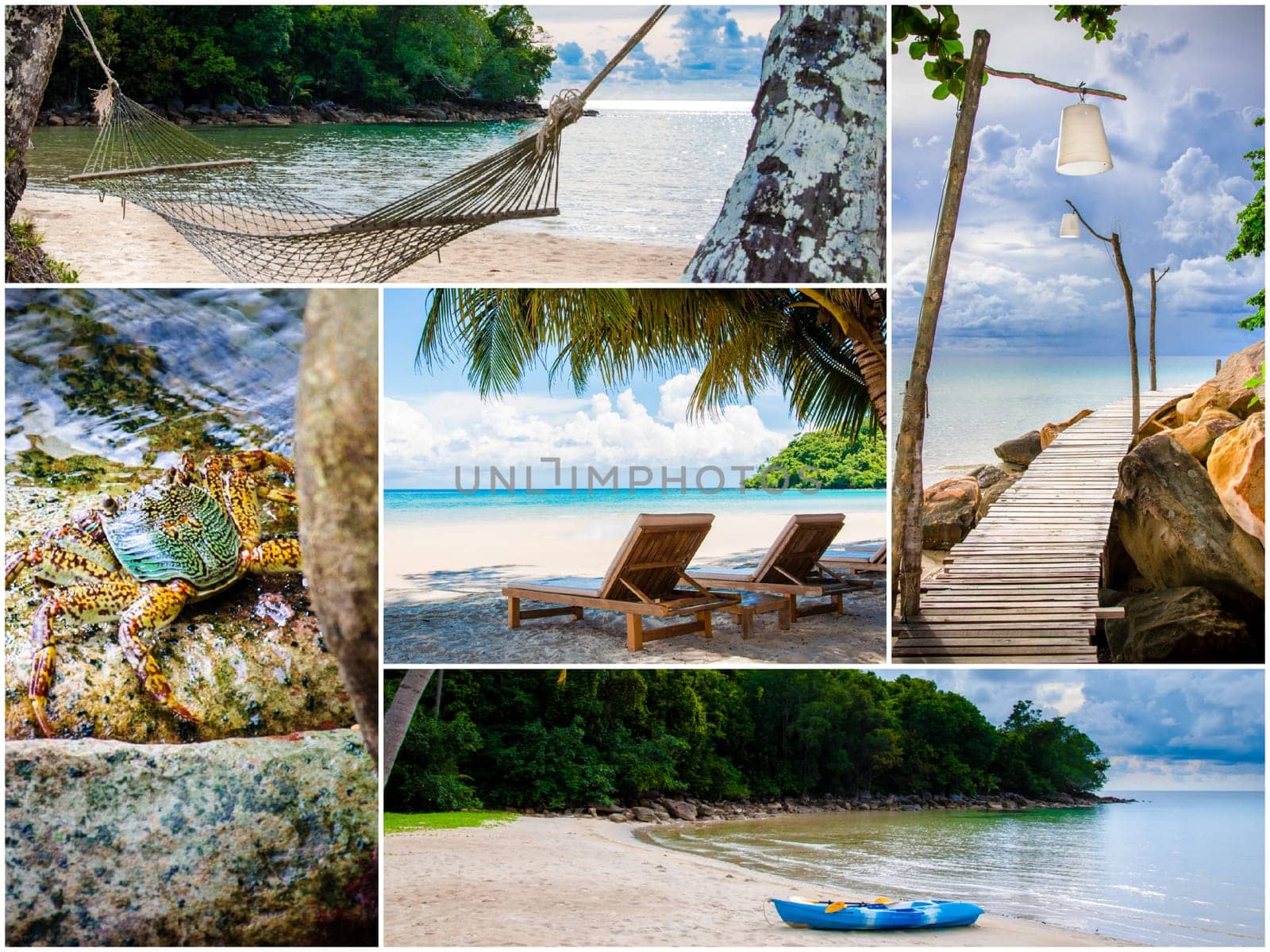 Photo collage of tropical beach with palm trees