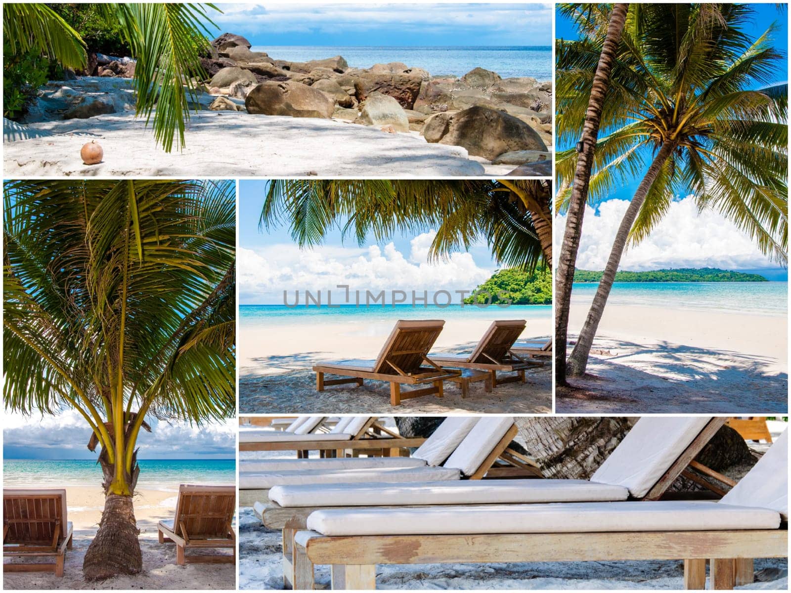 Photo collage of tropical beach with palm trees