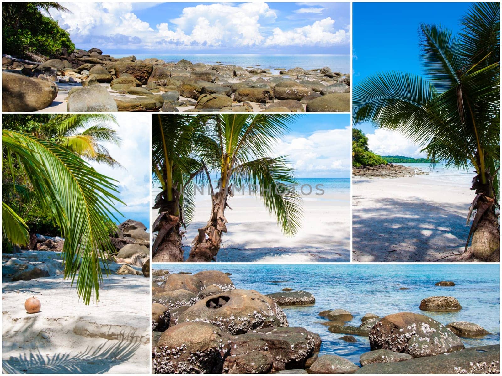 Photo collage of tropical beach with palm trees