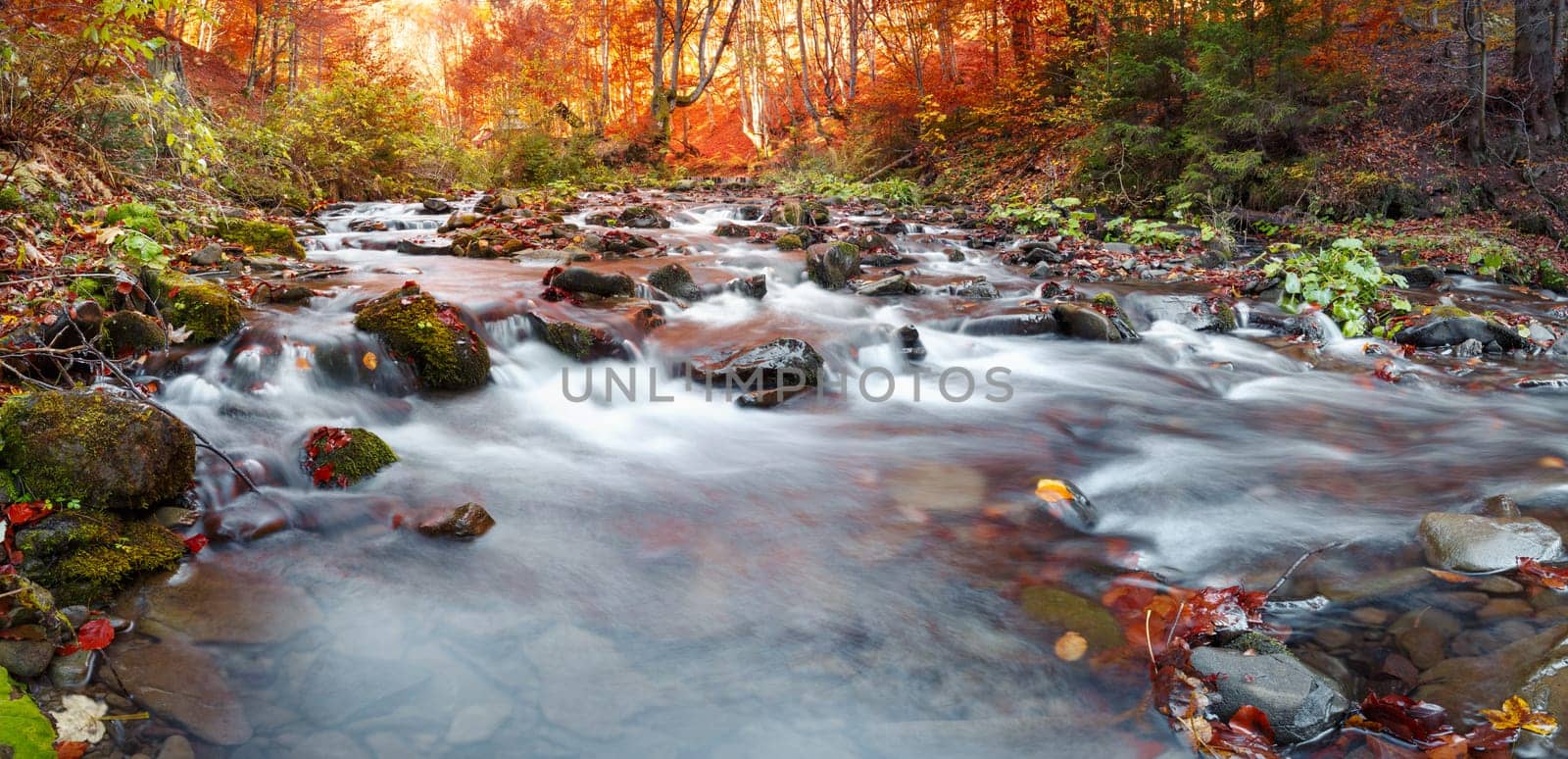 Autumn in the forest mountain stream. Beautiful autumn forest, rocks covered with moss. Mountain river with rapids and waterfalls. Carpathian.
