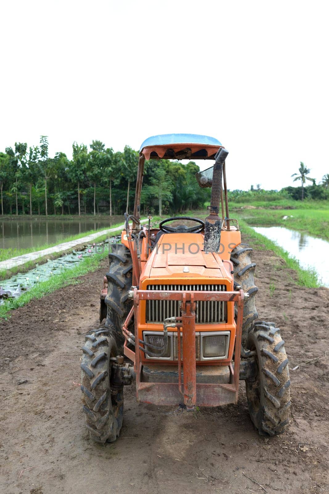 Tractor in a rice field