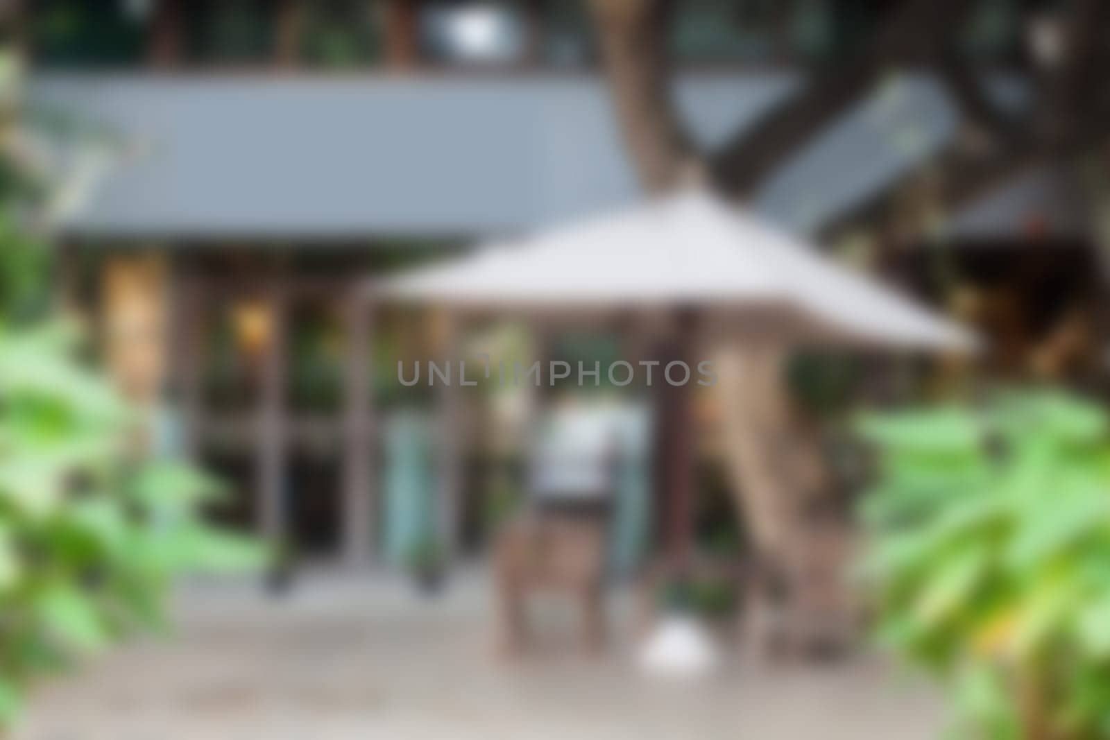 Coffee Shop Blurred abstract background, stock photo