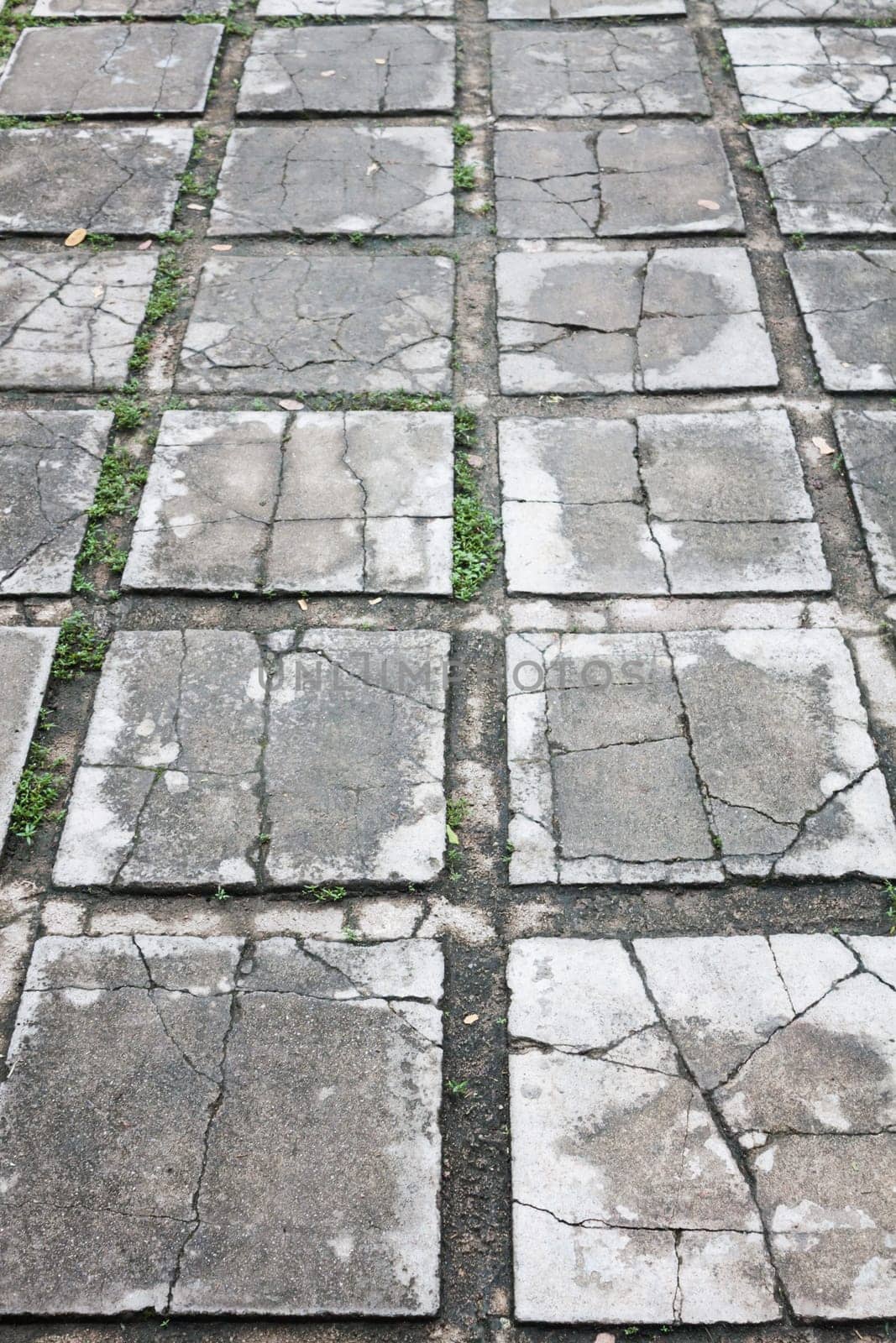 Concrete bricks path walk way, stock photo
