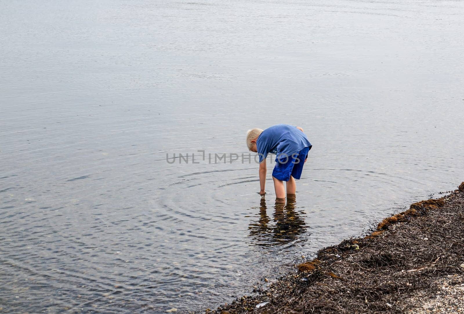 A little boy goes with his feet in the water on the beach and looking for clams and crabs