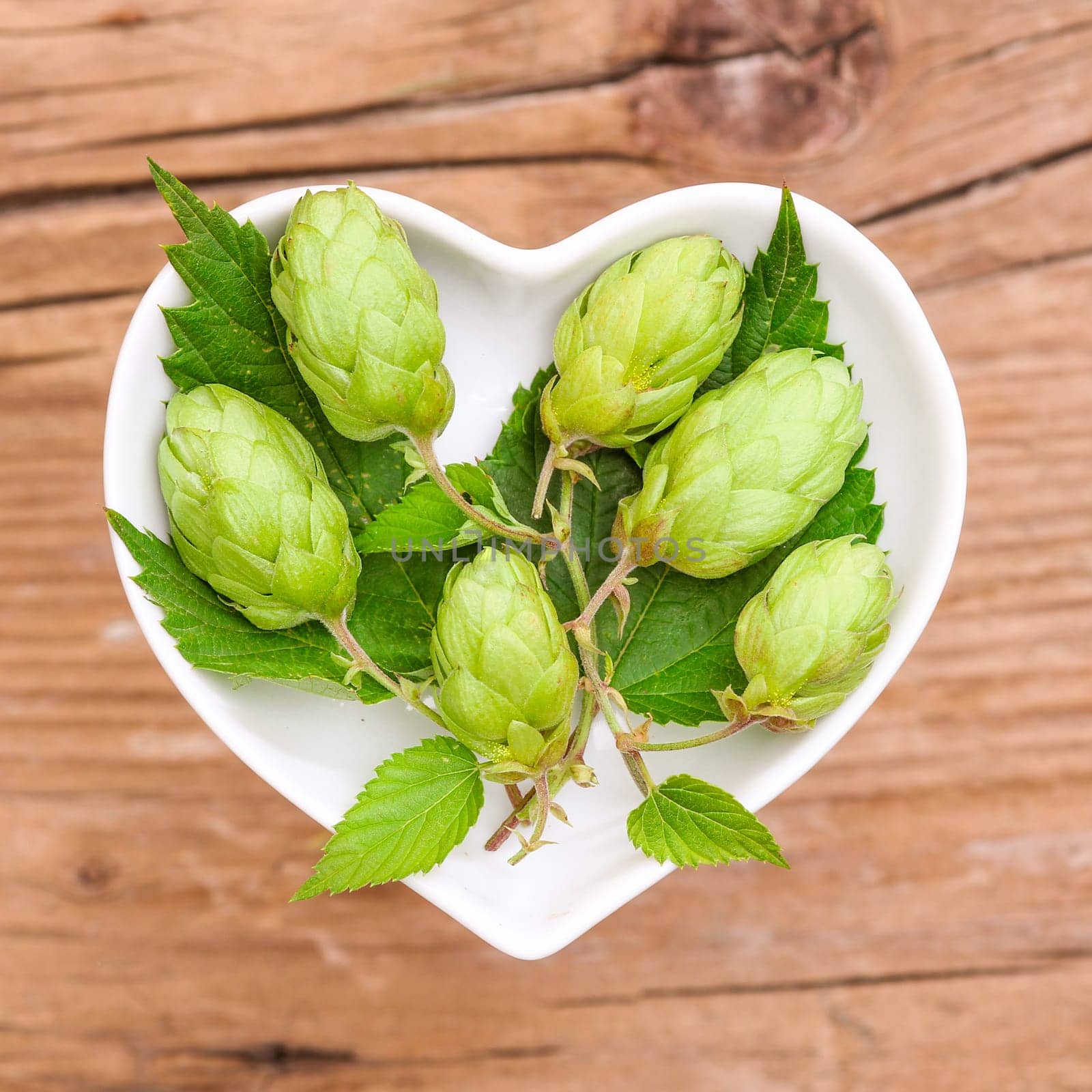 Homeopathy and cooking with medicinal herbs,hops