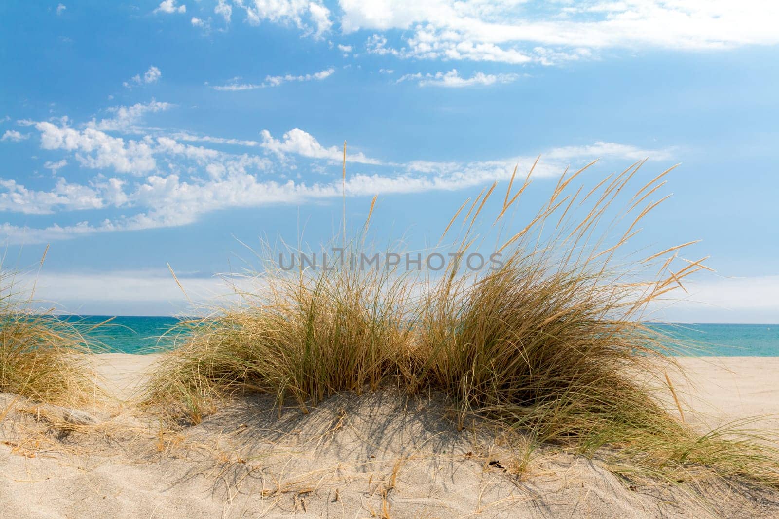 By the sea
