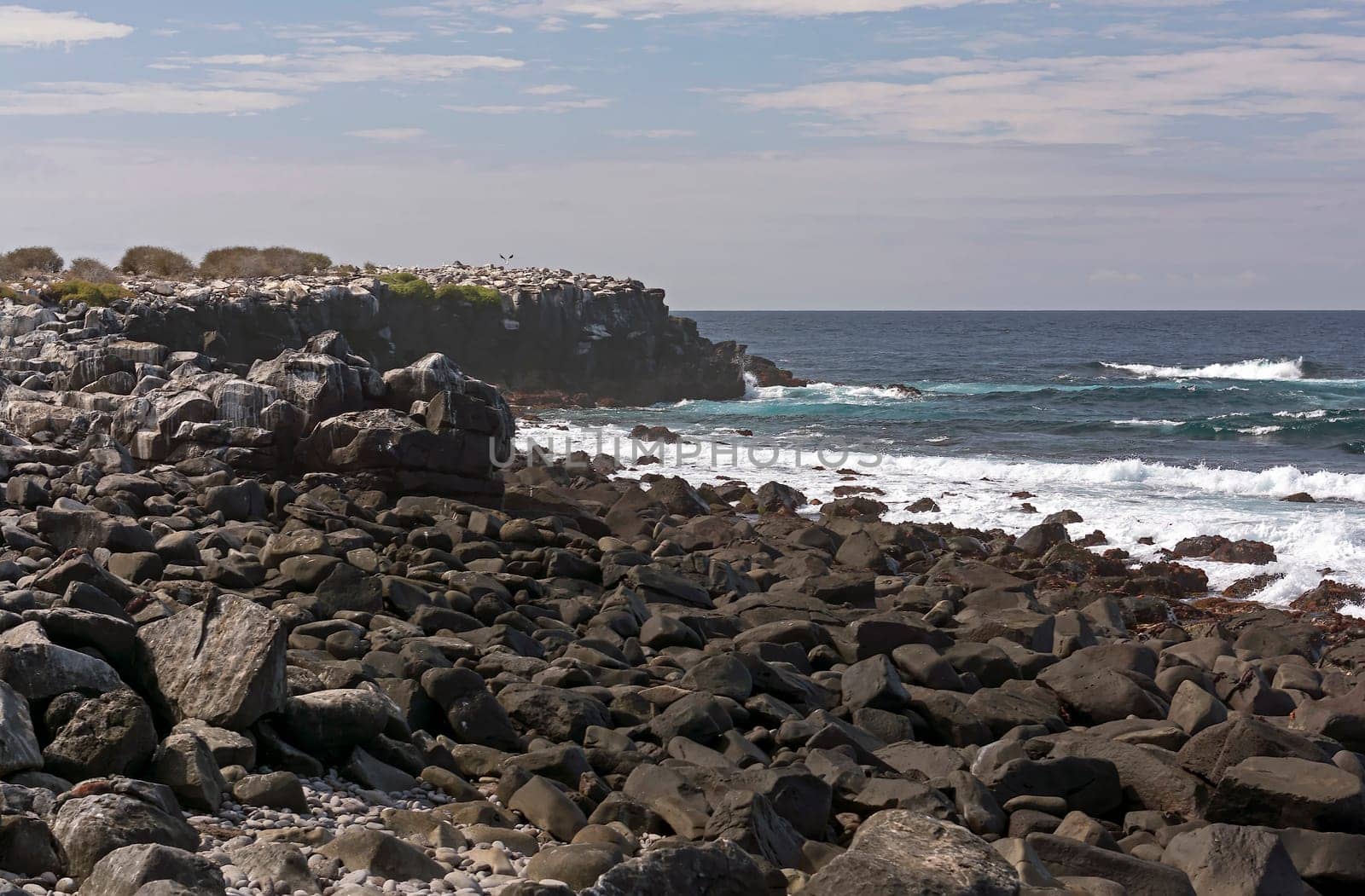 Rocky Coast on Espanola Island in the Galapagos