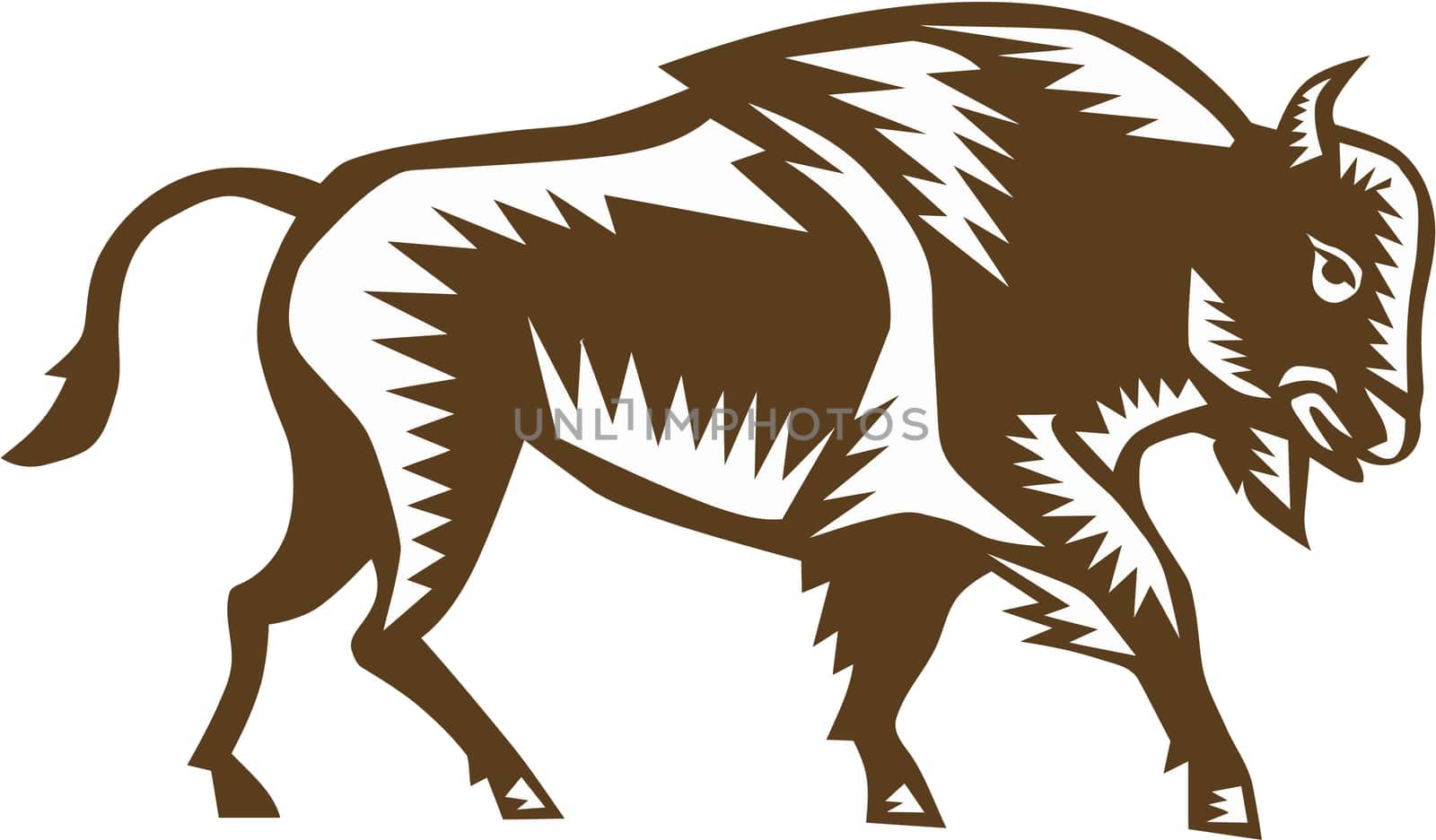 Illustration of an american bison buffalo bull viewed from the side set on isolated white background done in retro woodcut style.