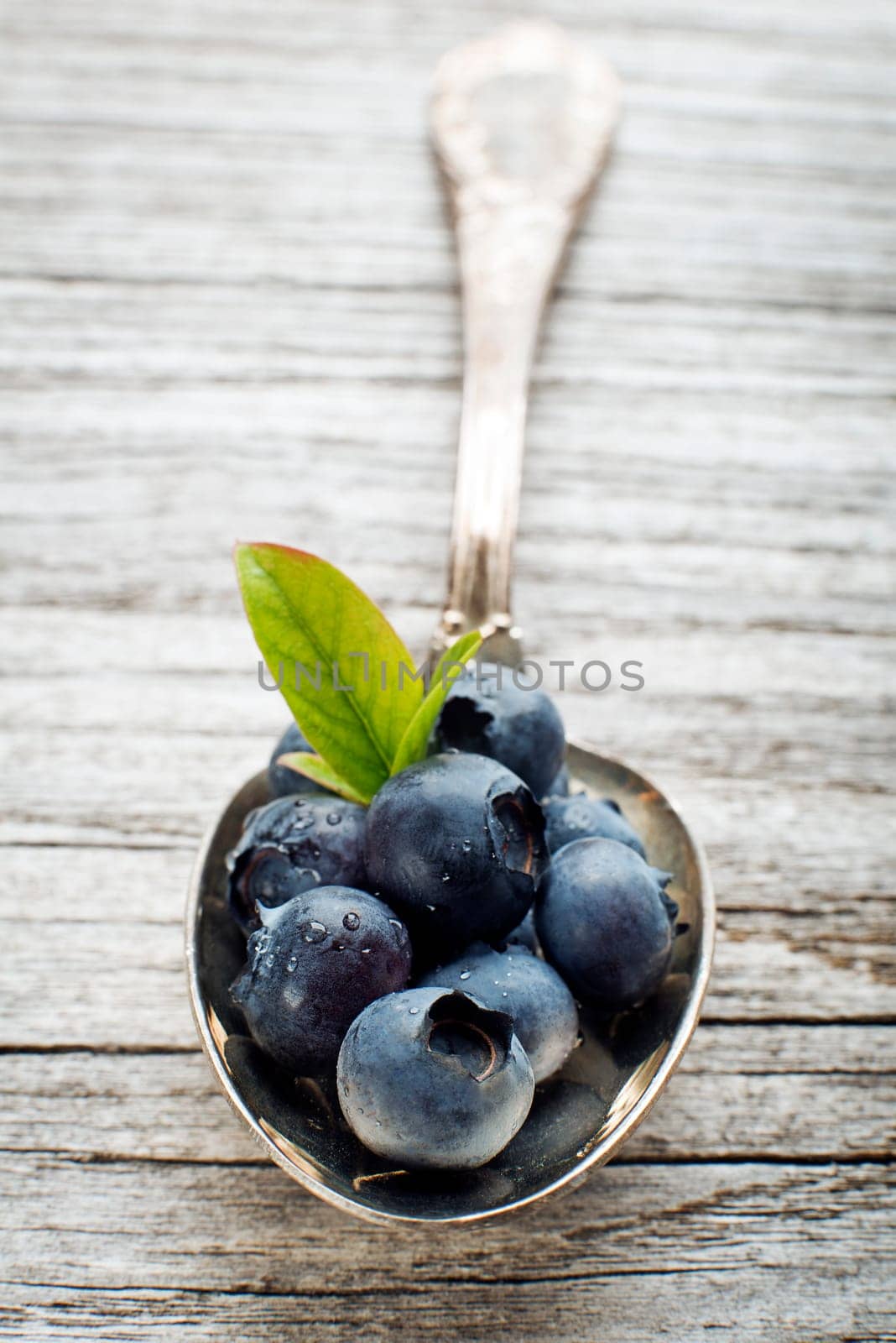 Juicy and fresh blueberries with green leaves on spoon close up