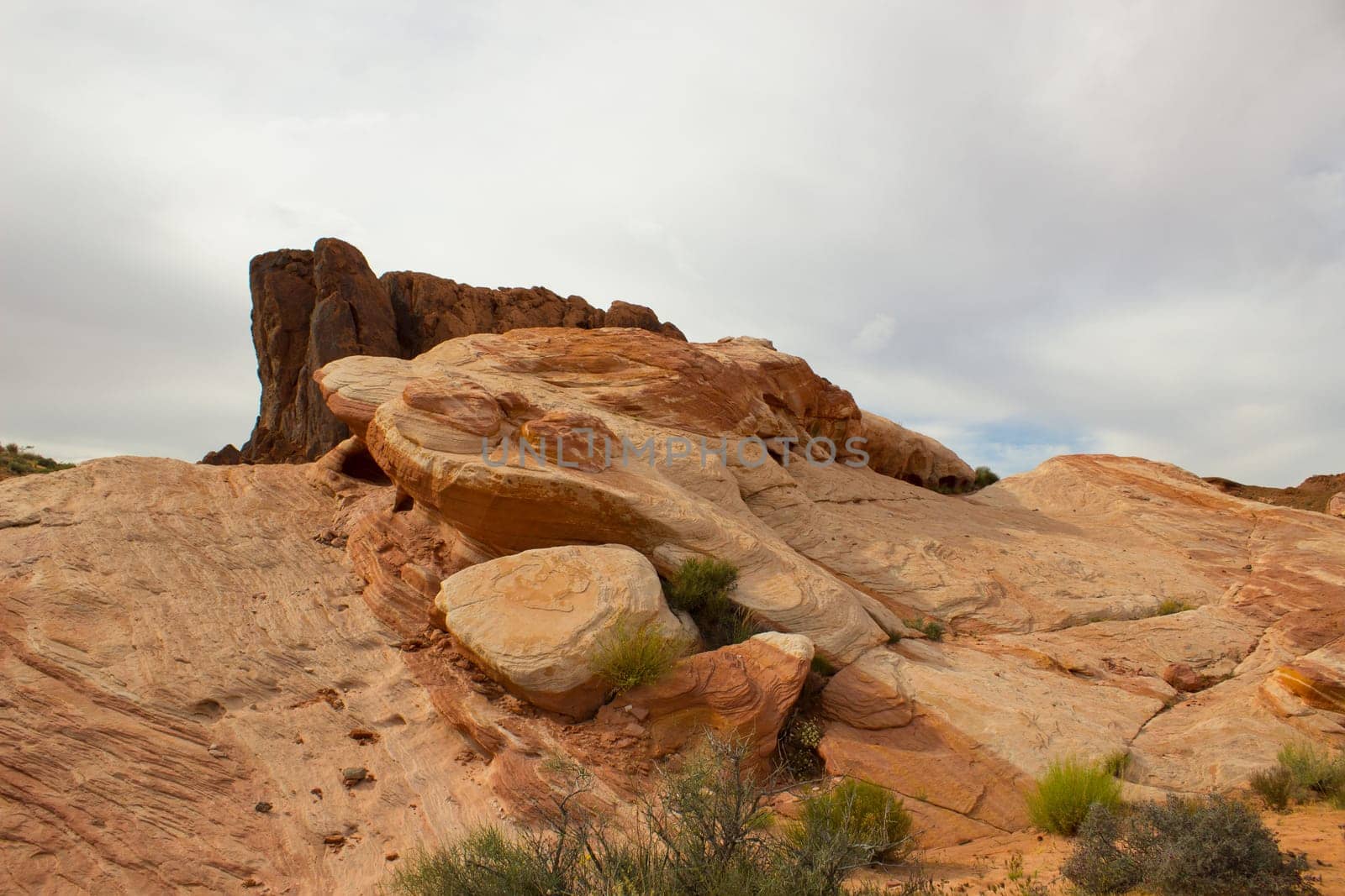 Amazing colors and shape of the Fire Wave rock in Valley of Fire State Park, Nevada, USA
