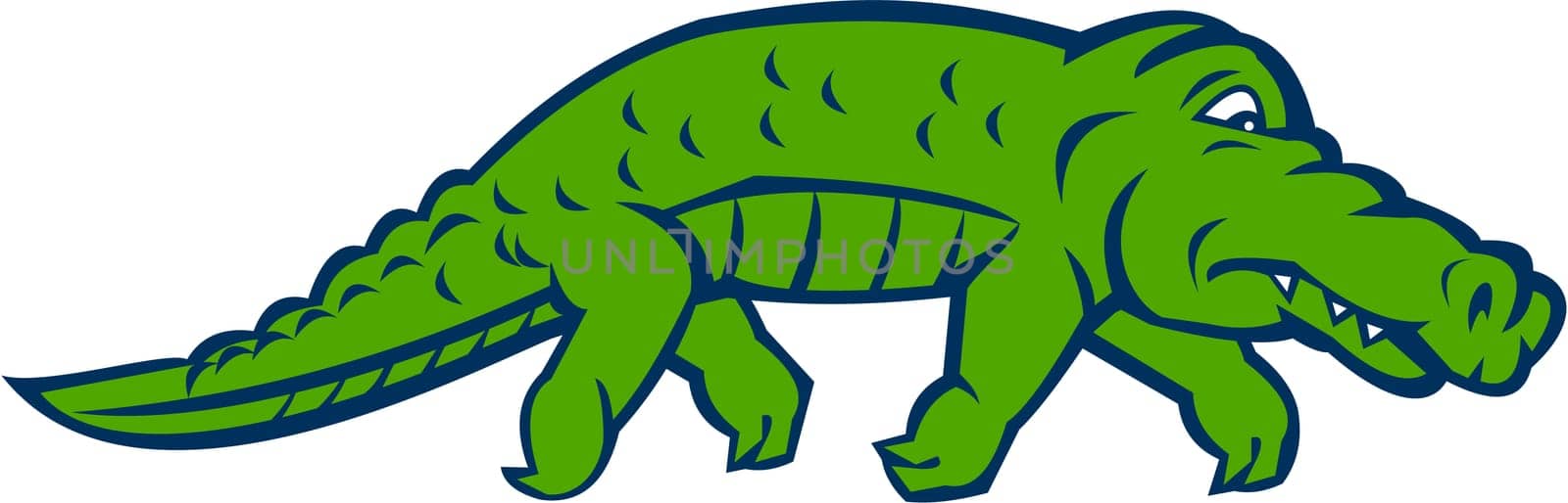 Illustration of an anxious alligator tiptoing viewed from the side set on isolated white background done in retro style.