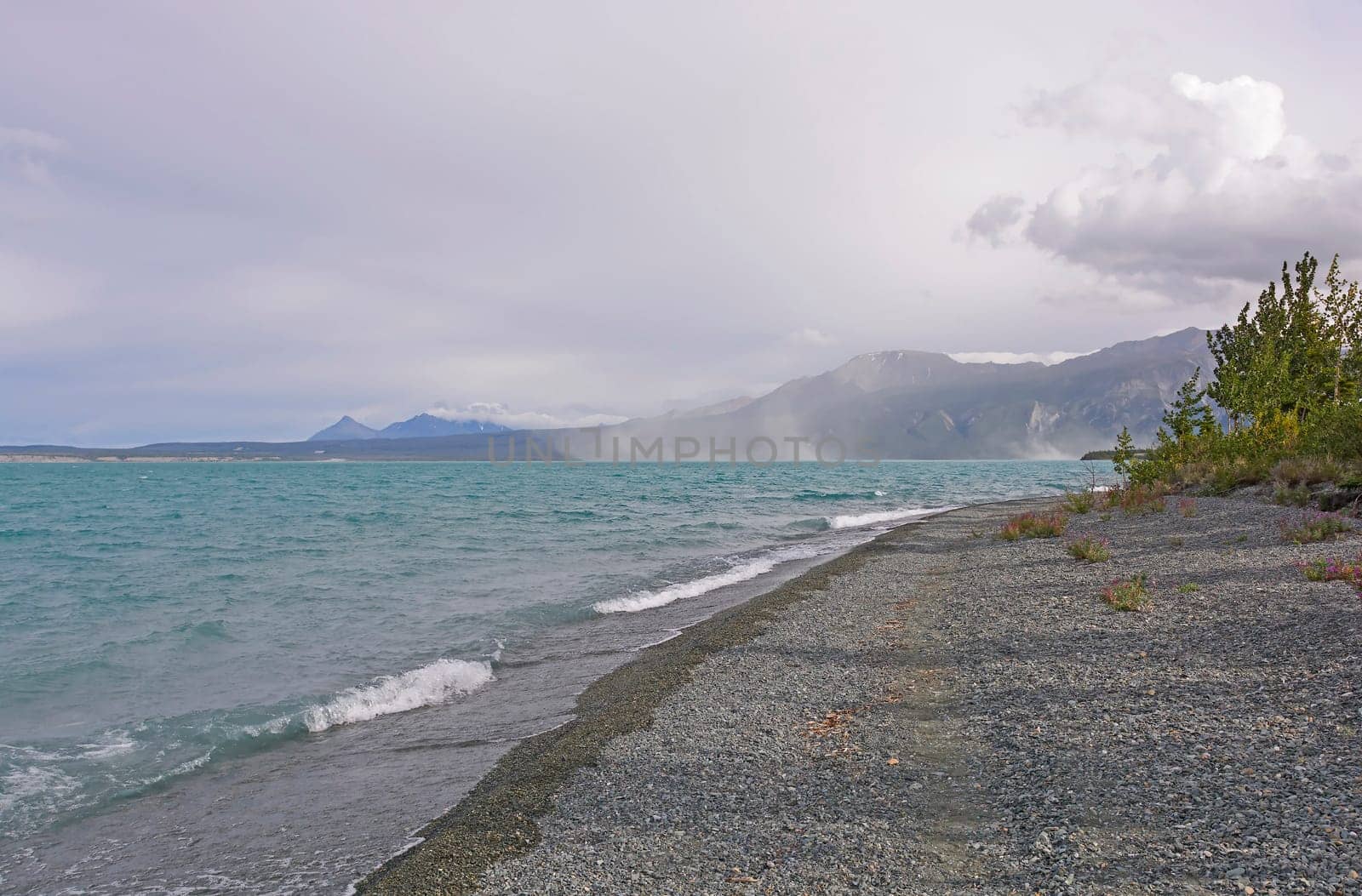 Wind and Waves along a Kluane Lake in the Yukon Territory