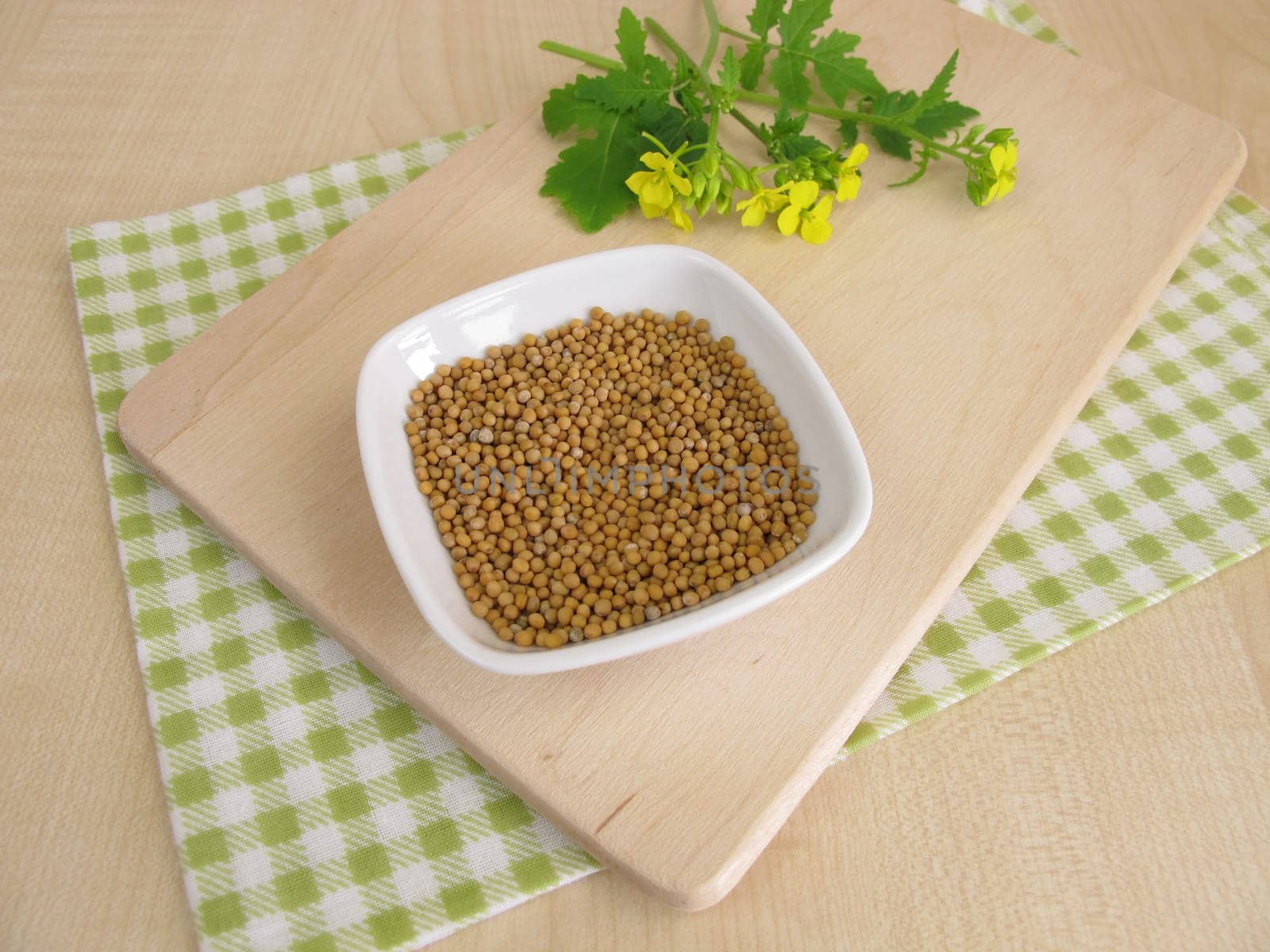 Mustard herb with flowers and mustard seeds