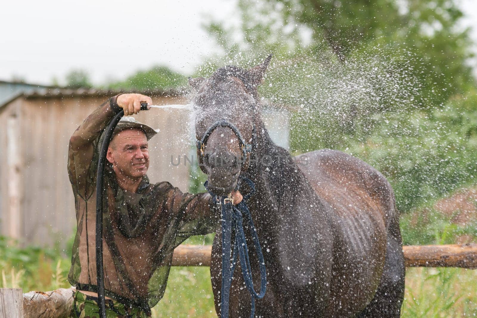 Volgograd, Russia - June 19, 2016: A man washes the horse's face after a workout