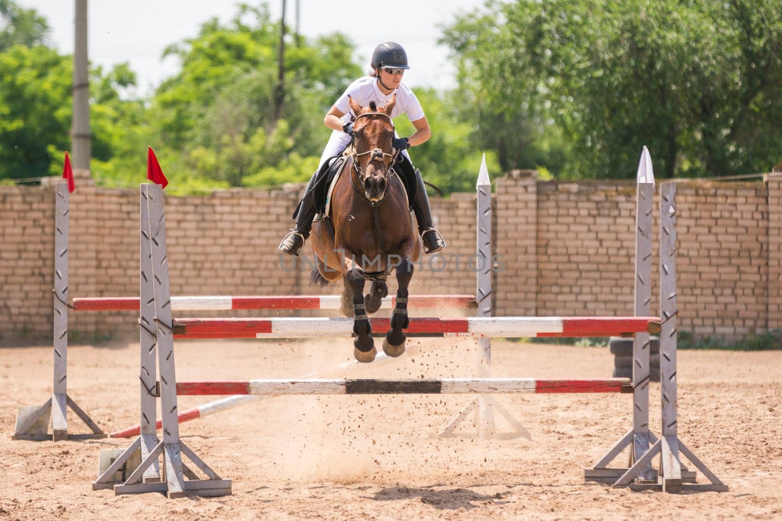 Volgograd, Russia - June 19, 2016: Rider on a horse jumping over the barrier at the jumping competition