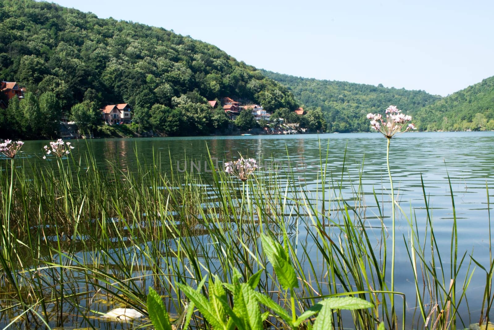 Shot of Bovan lake near Sokobanja spa on a sunny day