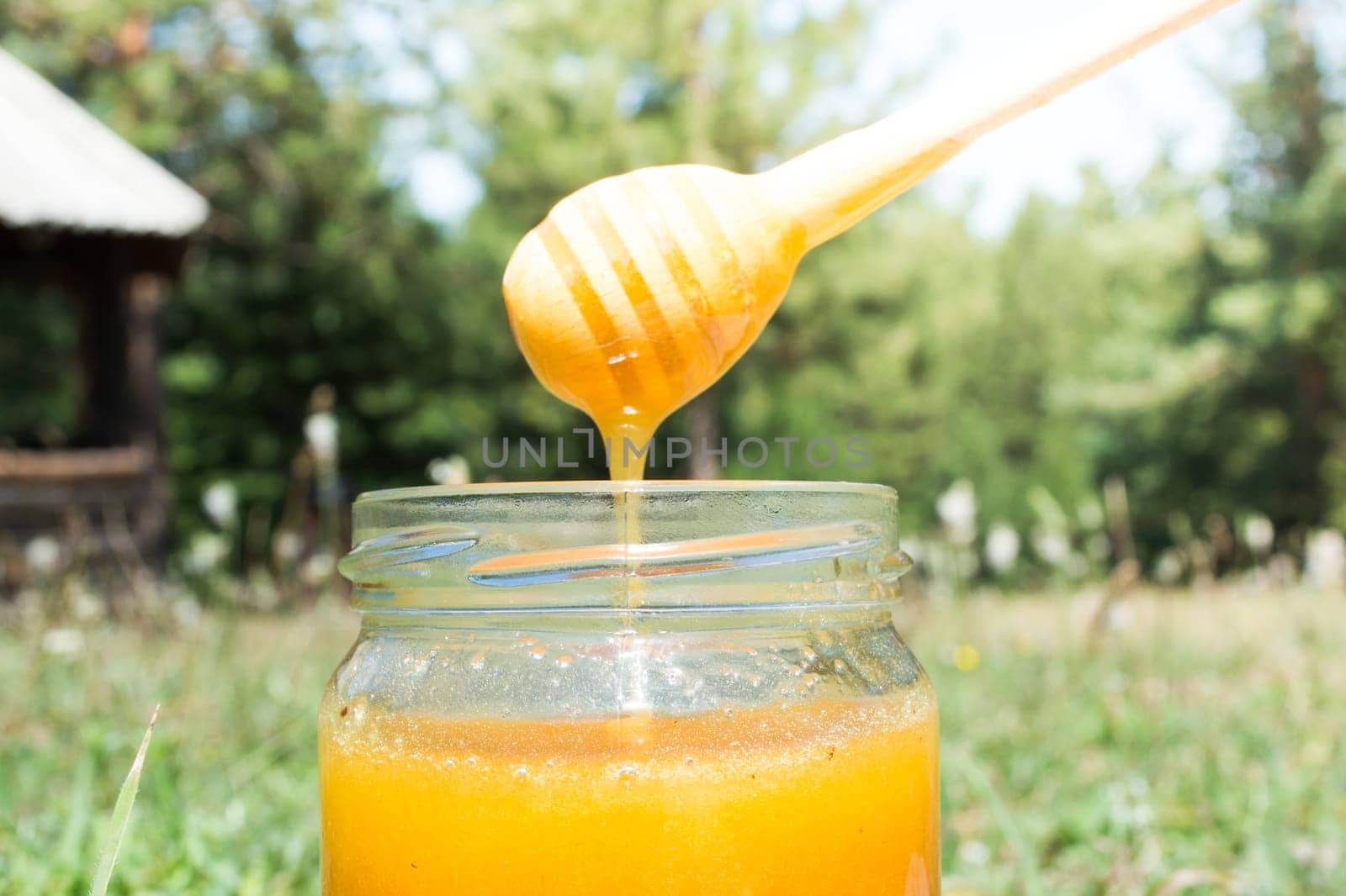 Jar full of sweet honey. Honey is dripping from a wooden honey stick