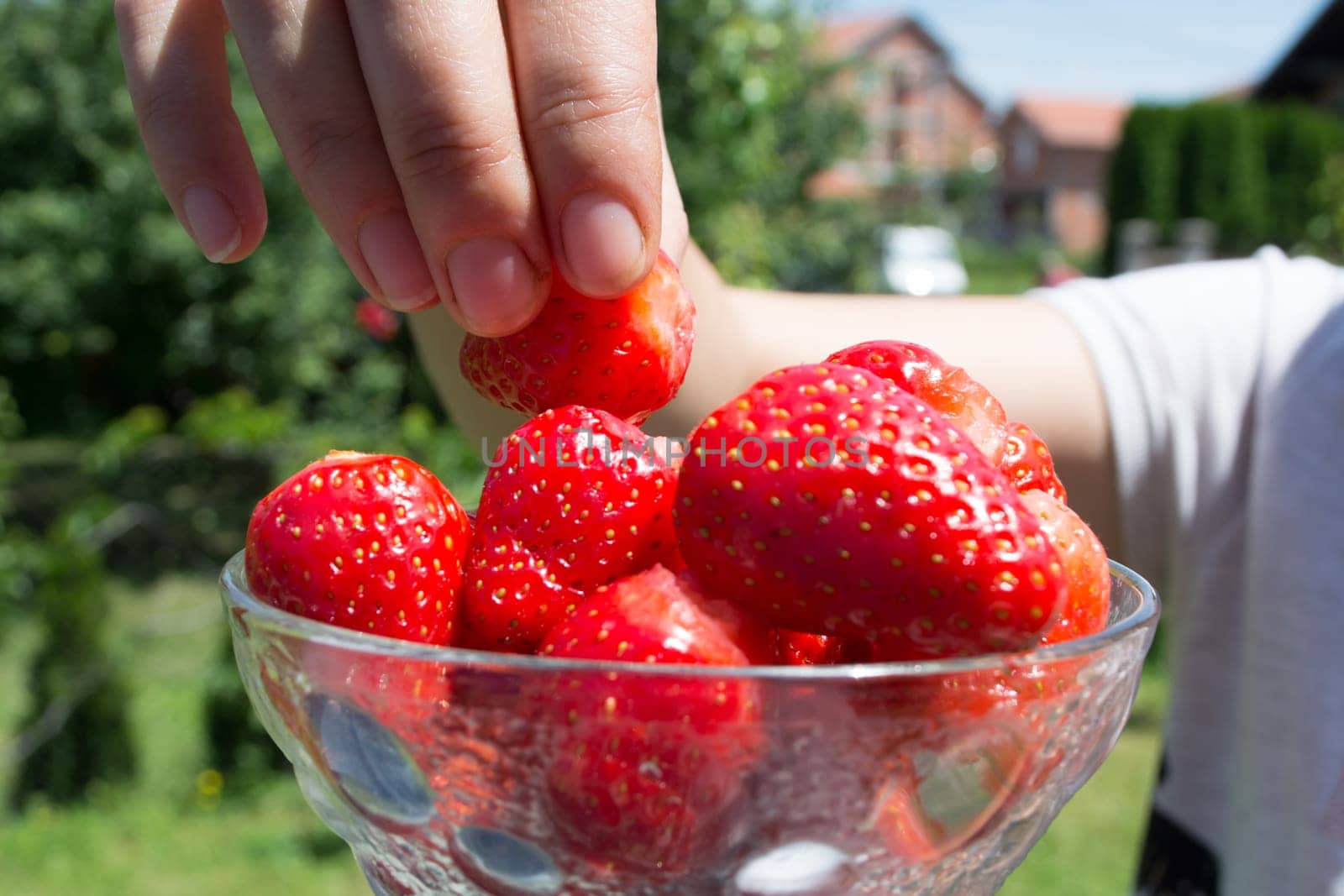 Woman hand picking strawberries from glass bowl