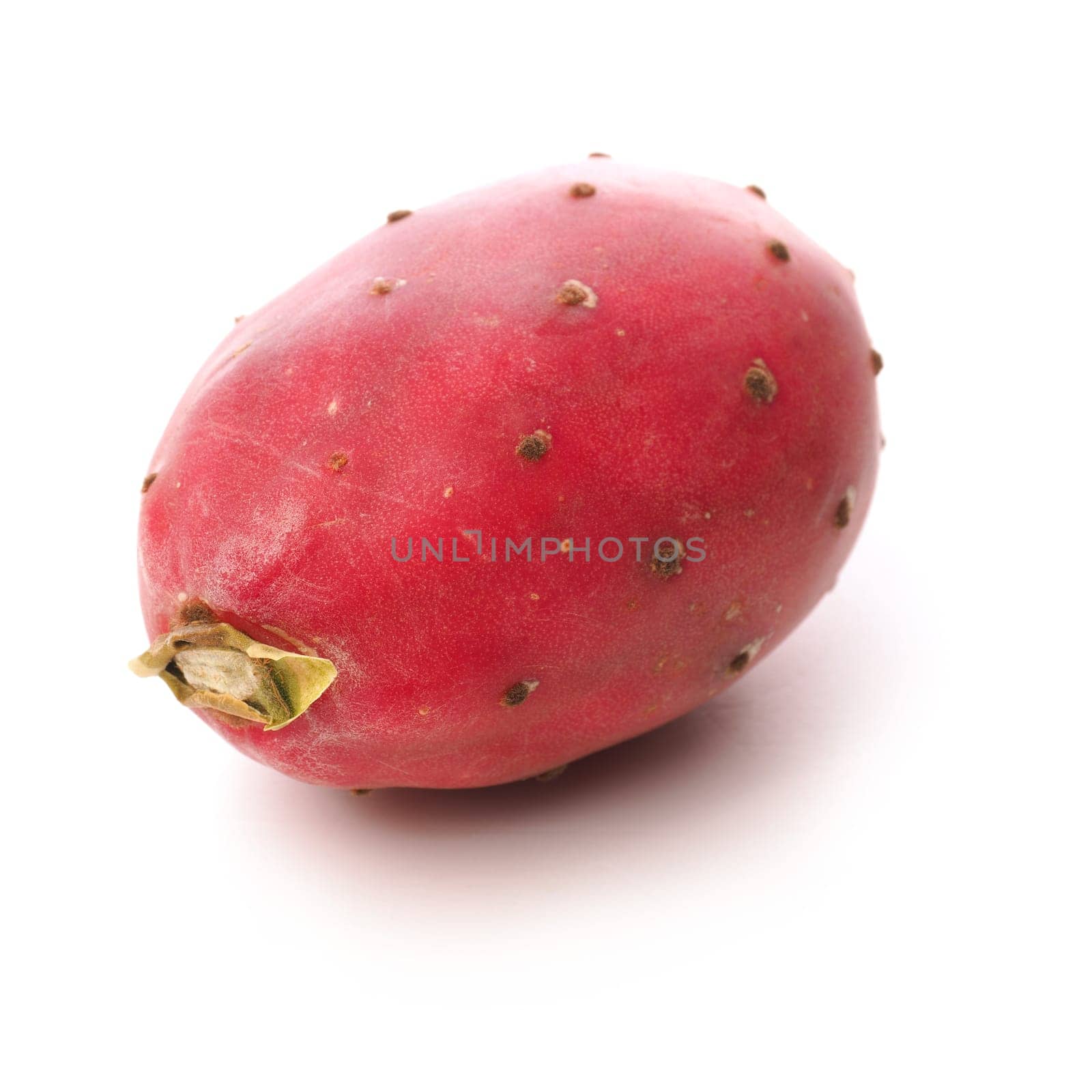 Prickly pear cactus fruit on a white background