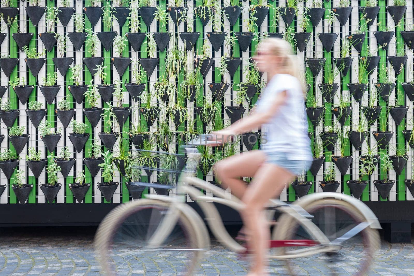Motion blure of woman riding bycicle by green urban vertical garden wall in Ljubljana, European green capital of Europe 2016. Sustainable green city concept.