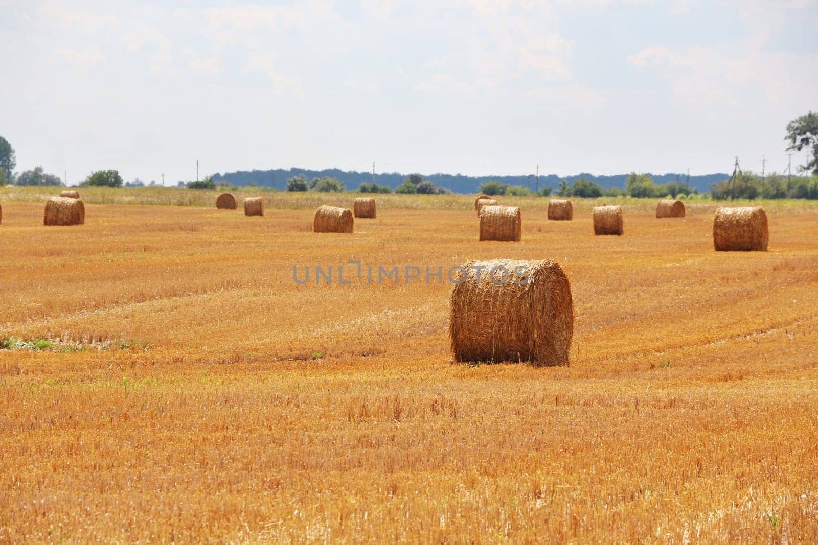 The haystacks on a slant sunny field