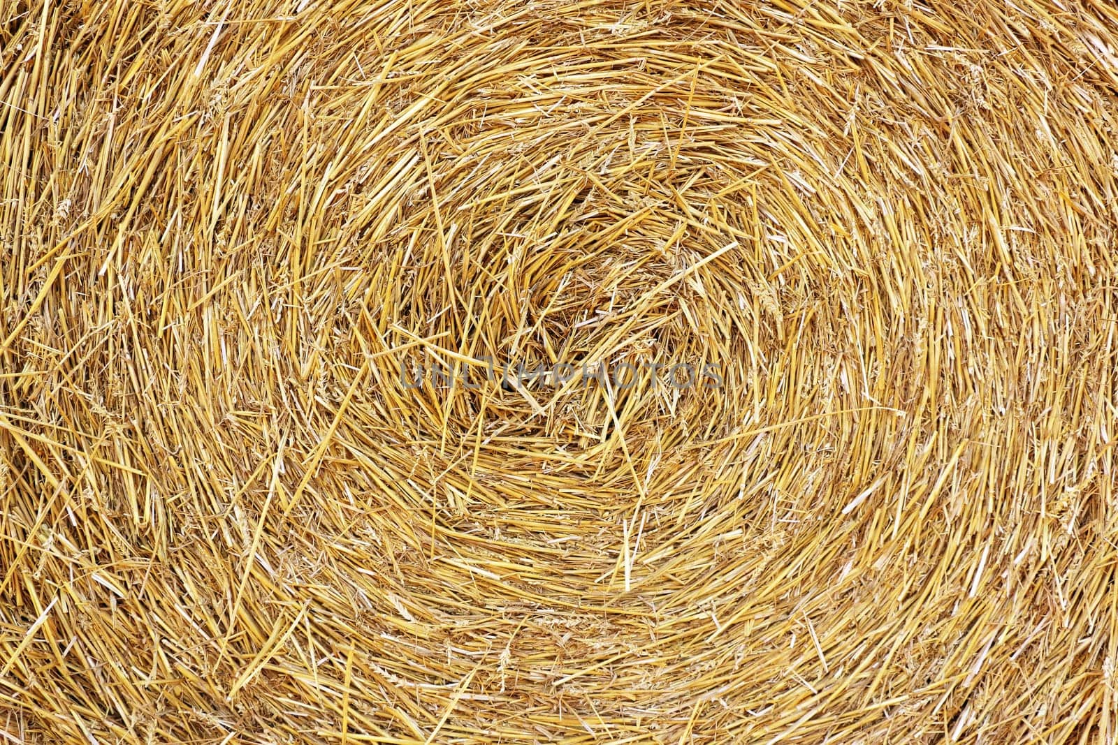 The swirl haystack texture background in the daylight