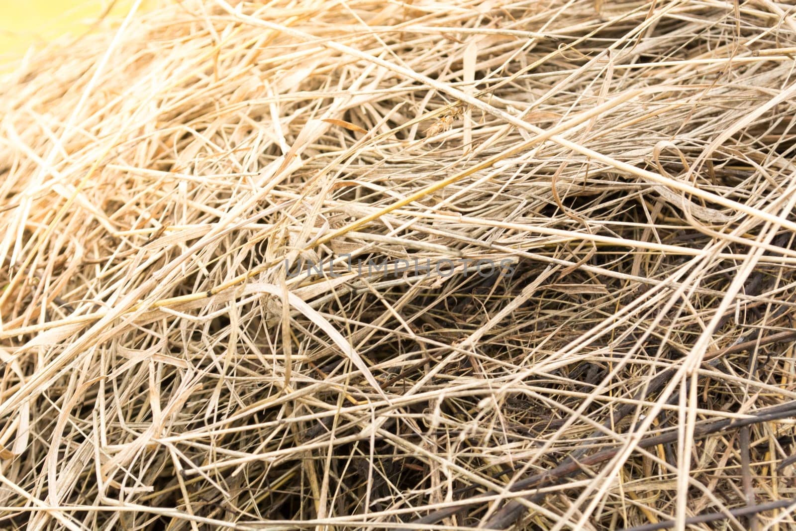 Closeup of haystak on a sunny day. Agricultural scene