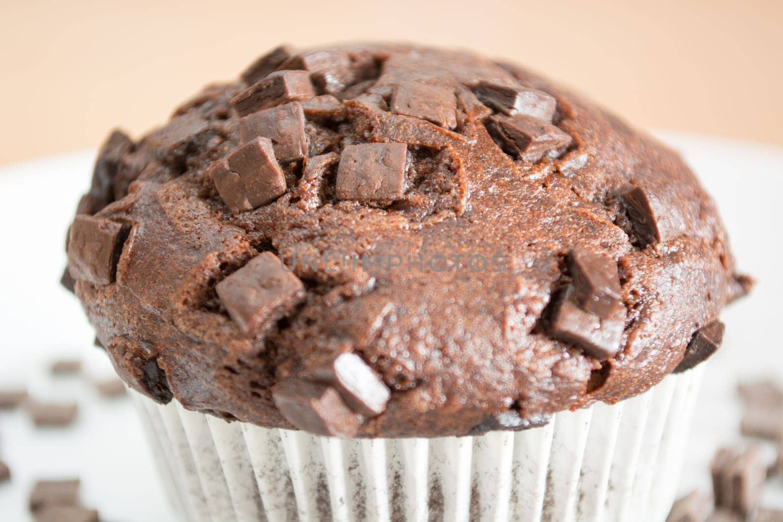 Isolated sweet chocolate cupcake in white plate. Plate and cupcakes are covered with chocolate crumbs