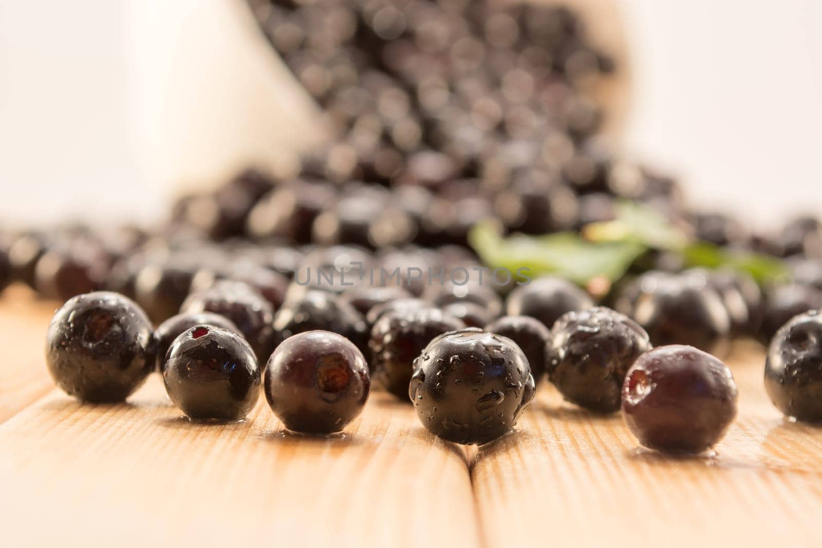 Fresh and tasty aronia spilled out of a bowl. Water droplets on fruit are visible