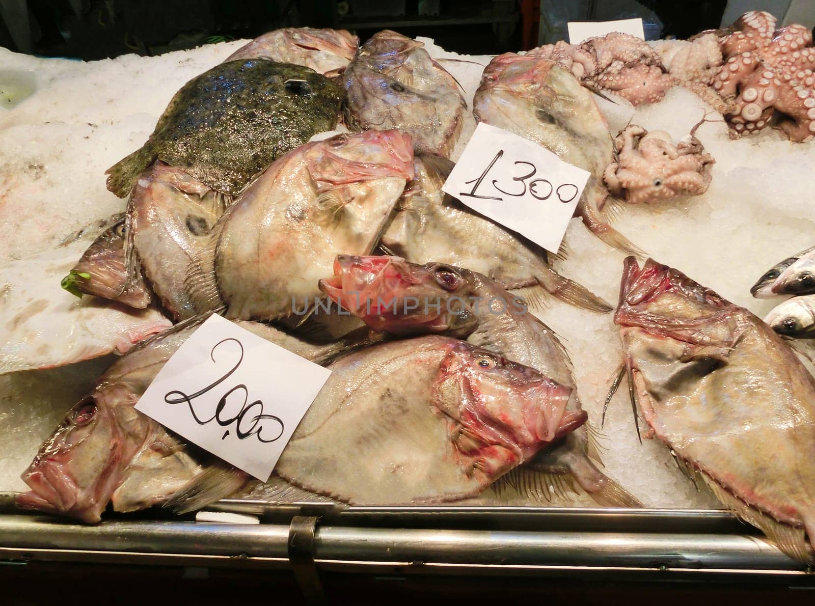 Venetian fish market - fish and octopus. The Rialto fish market is located alongside the Grand Canal near the Rialto Bridge - Venice, Italy